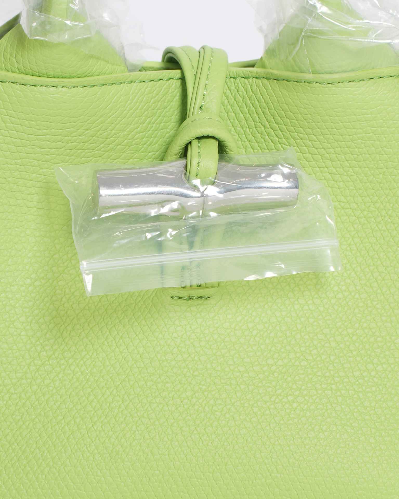New Longchamp Le Roseau XS Handbag In Light Green