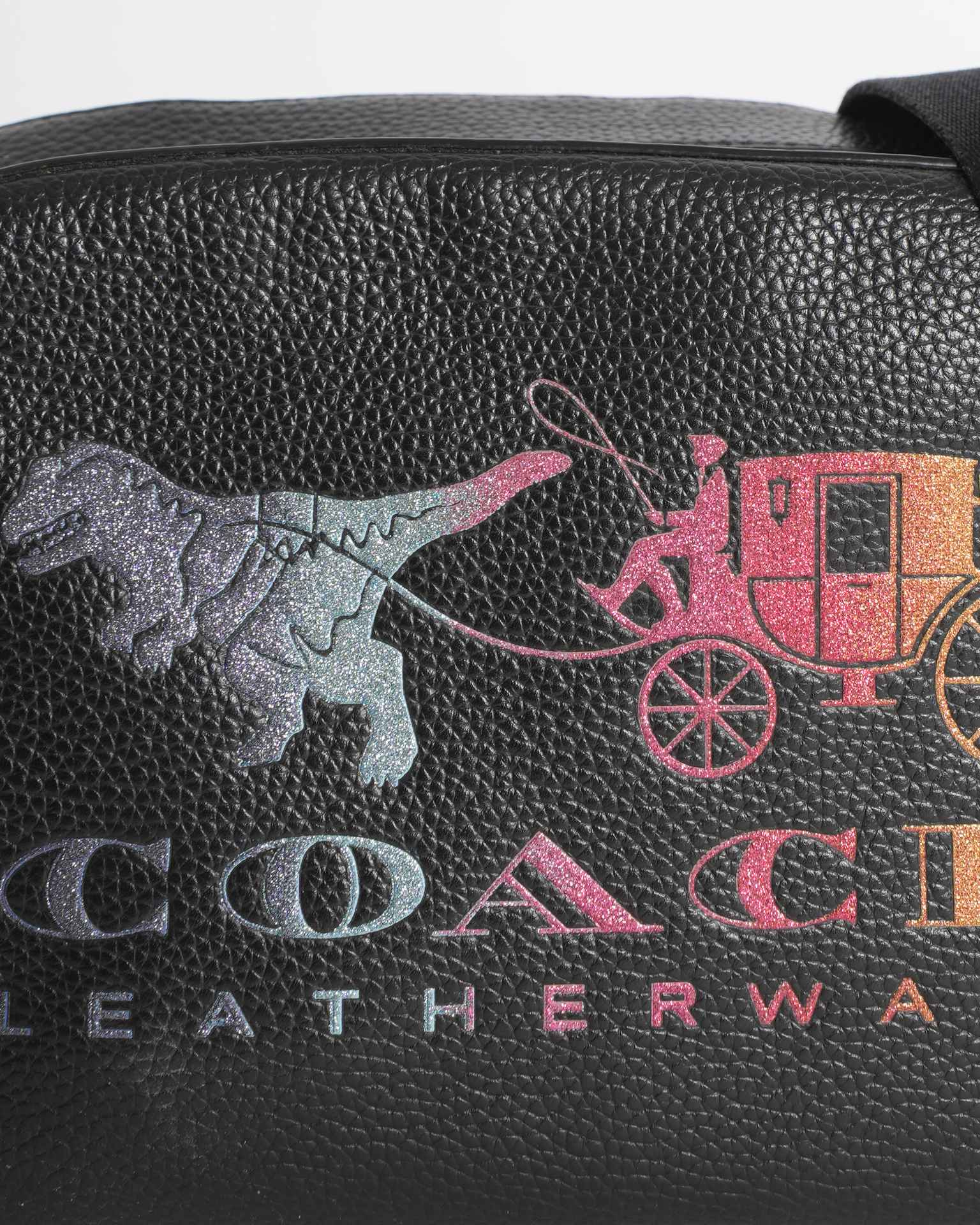 Coach Leather Camera Bag with Rexy & Carriage