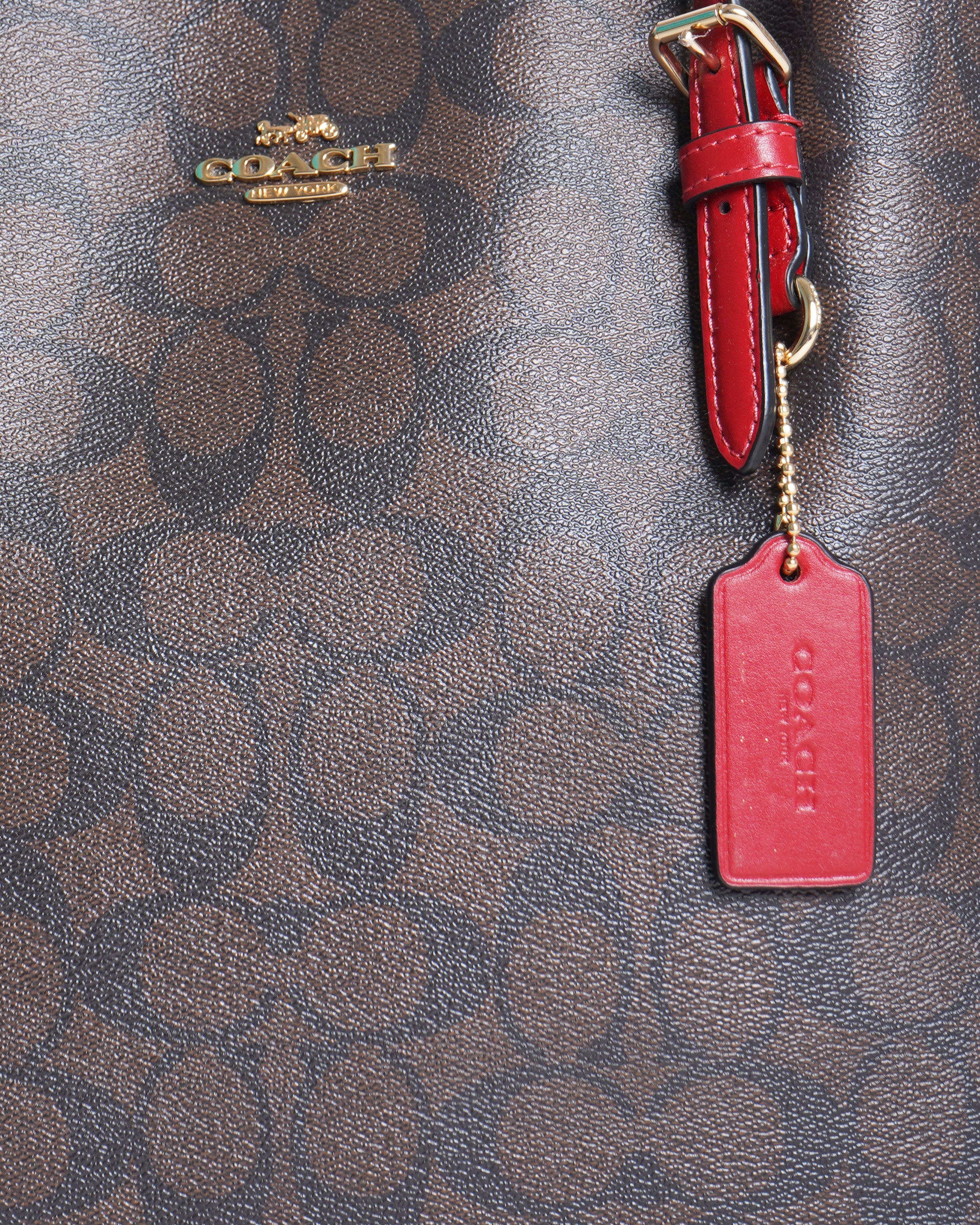 Coach Mollie Tote Bag In Signature Canvas