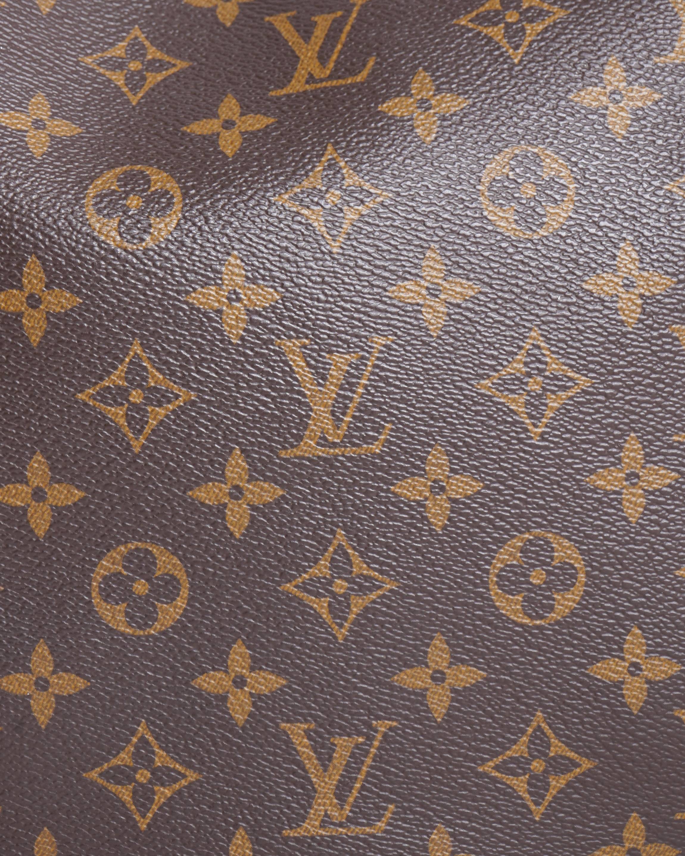 Louis Vuitton Loop Hobo Monogram Bag