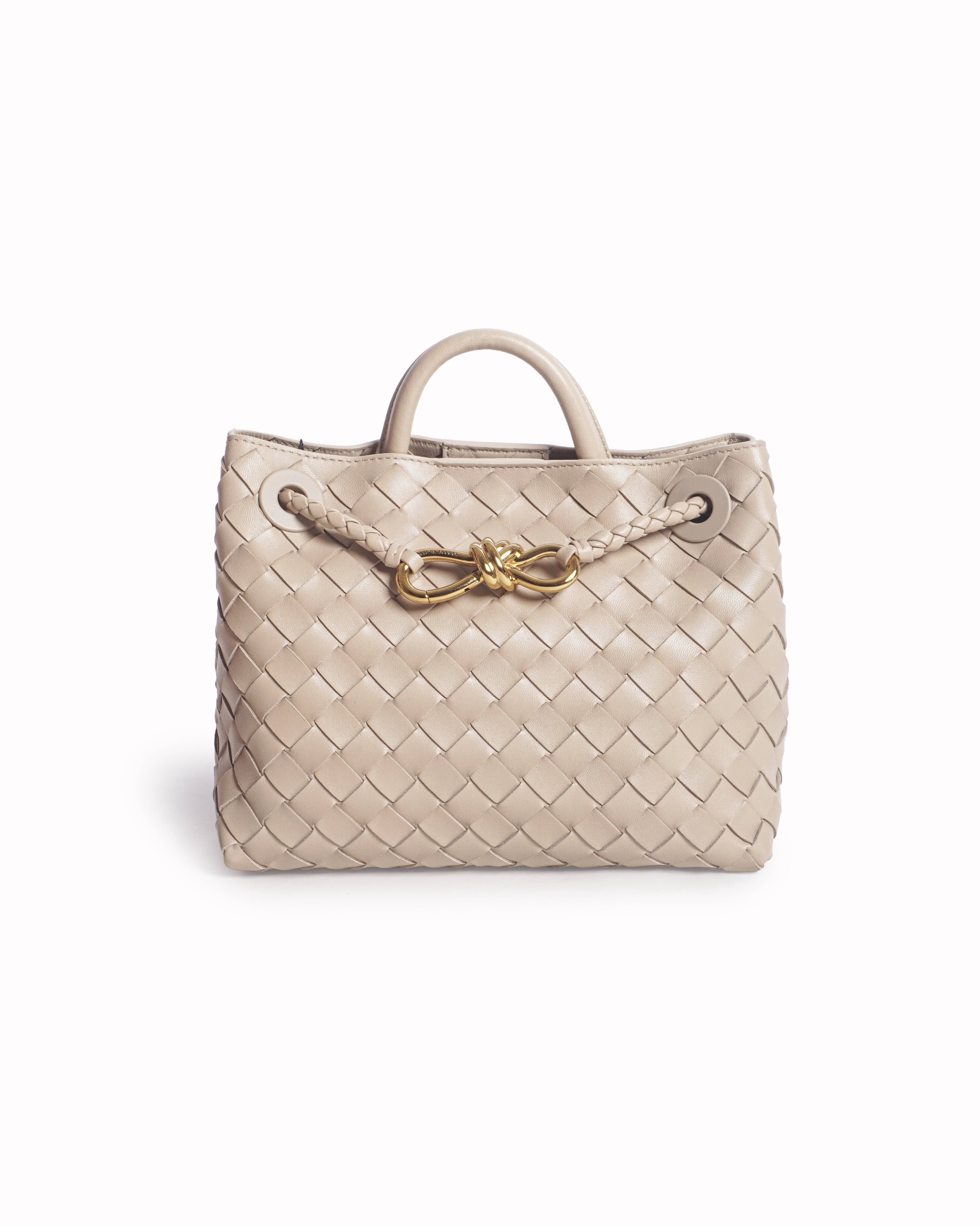 Bottega Veneta Andiamo Small Intrecciato Leather Tote Bag