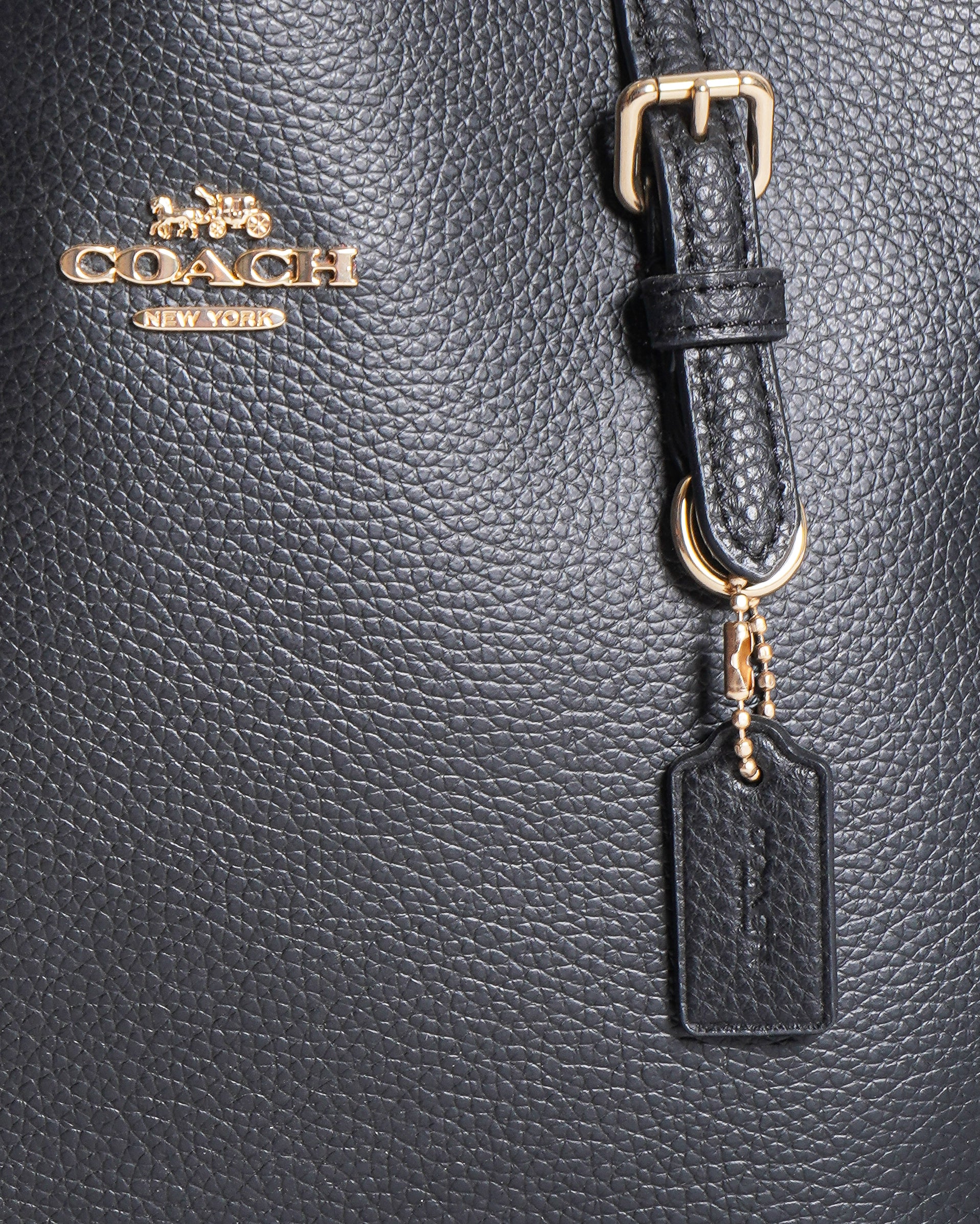 Coach Mollie Small Black Tote Bag