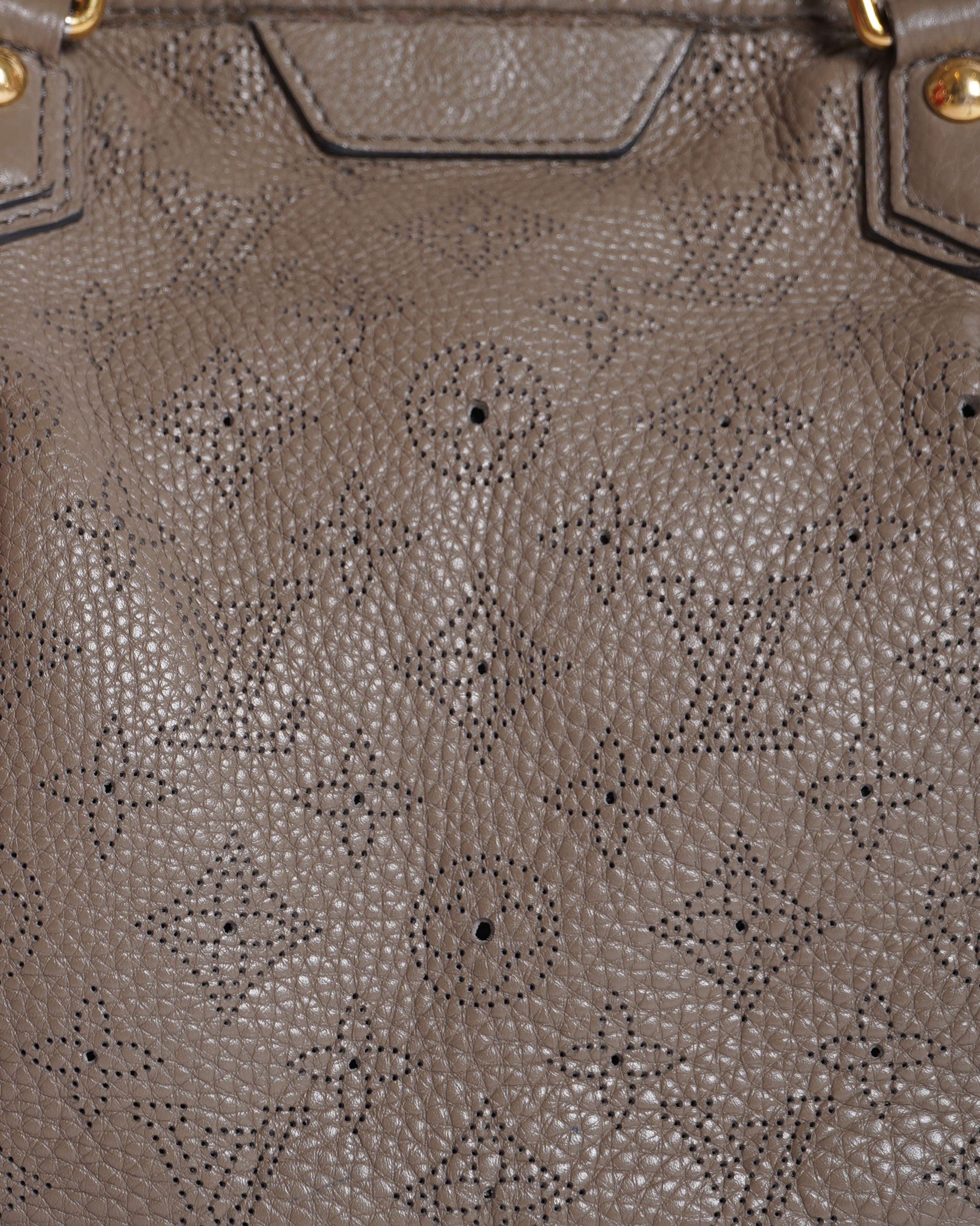 Louis Vuitton Poudre Mahina Leather Stellar PM Bag