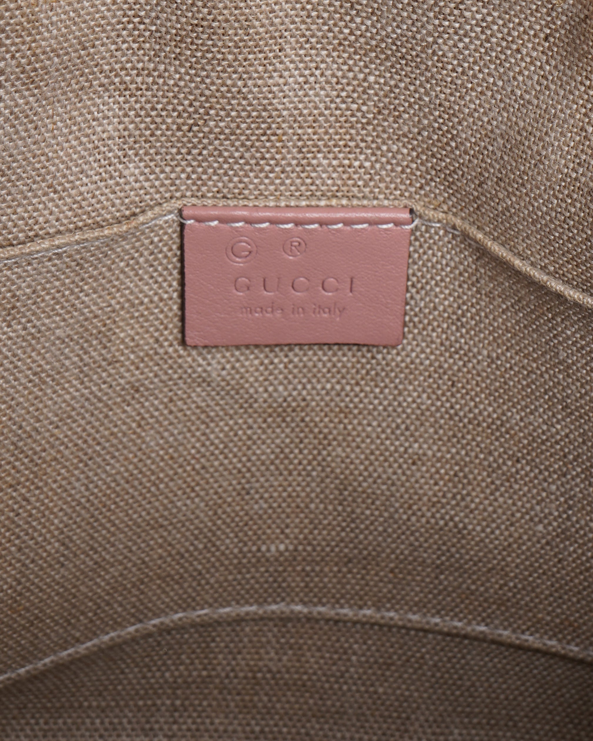 Gucci pink microguccissima dome bag
