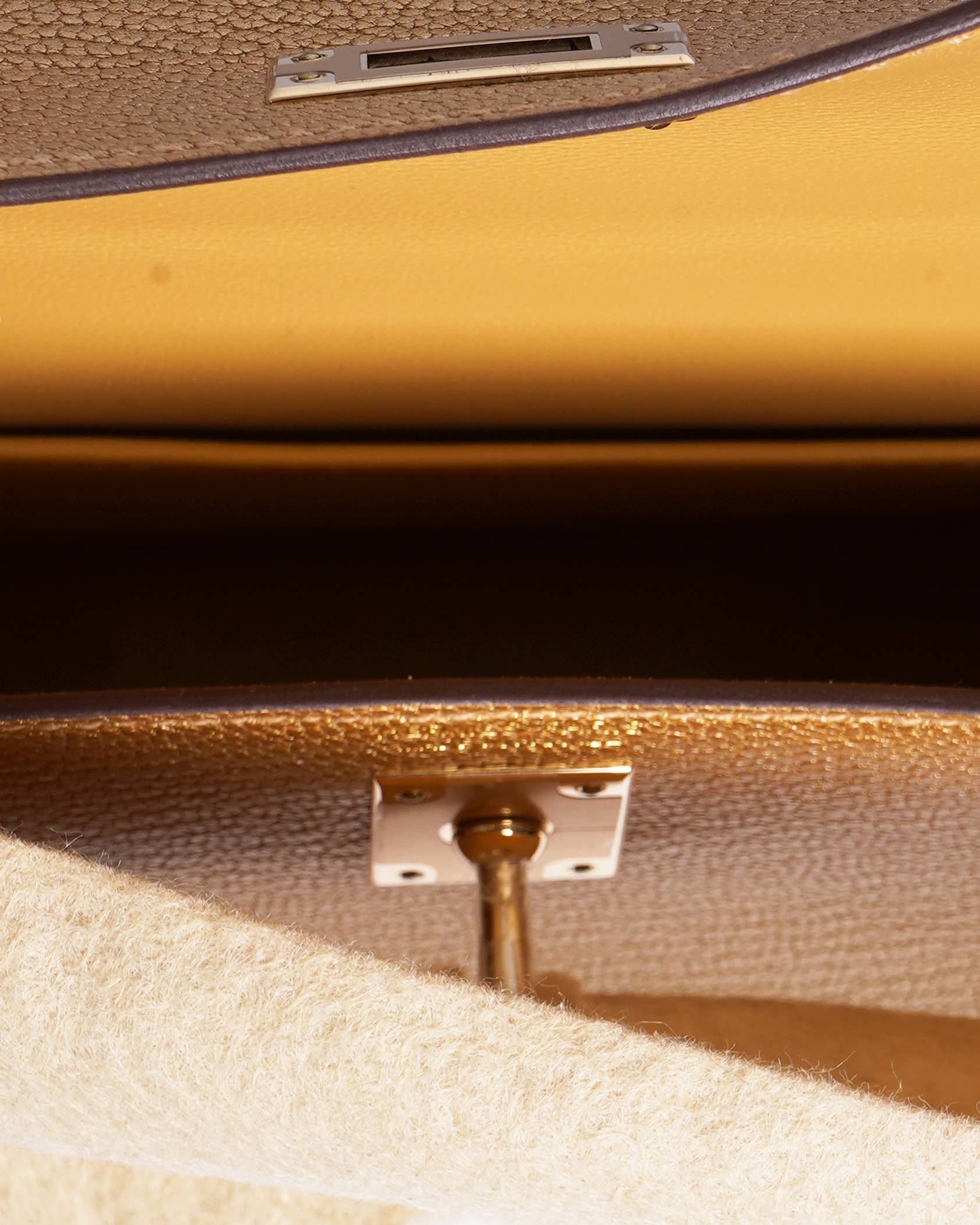 New Hermès Mini Kelly Dore Limited Edition Metallic Gold Chevre Chamkilight 20 Premabrass Hardware