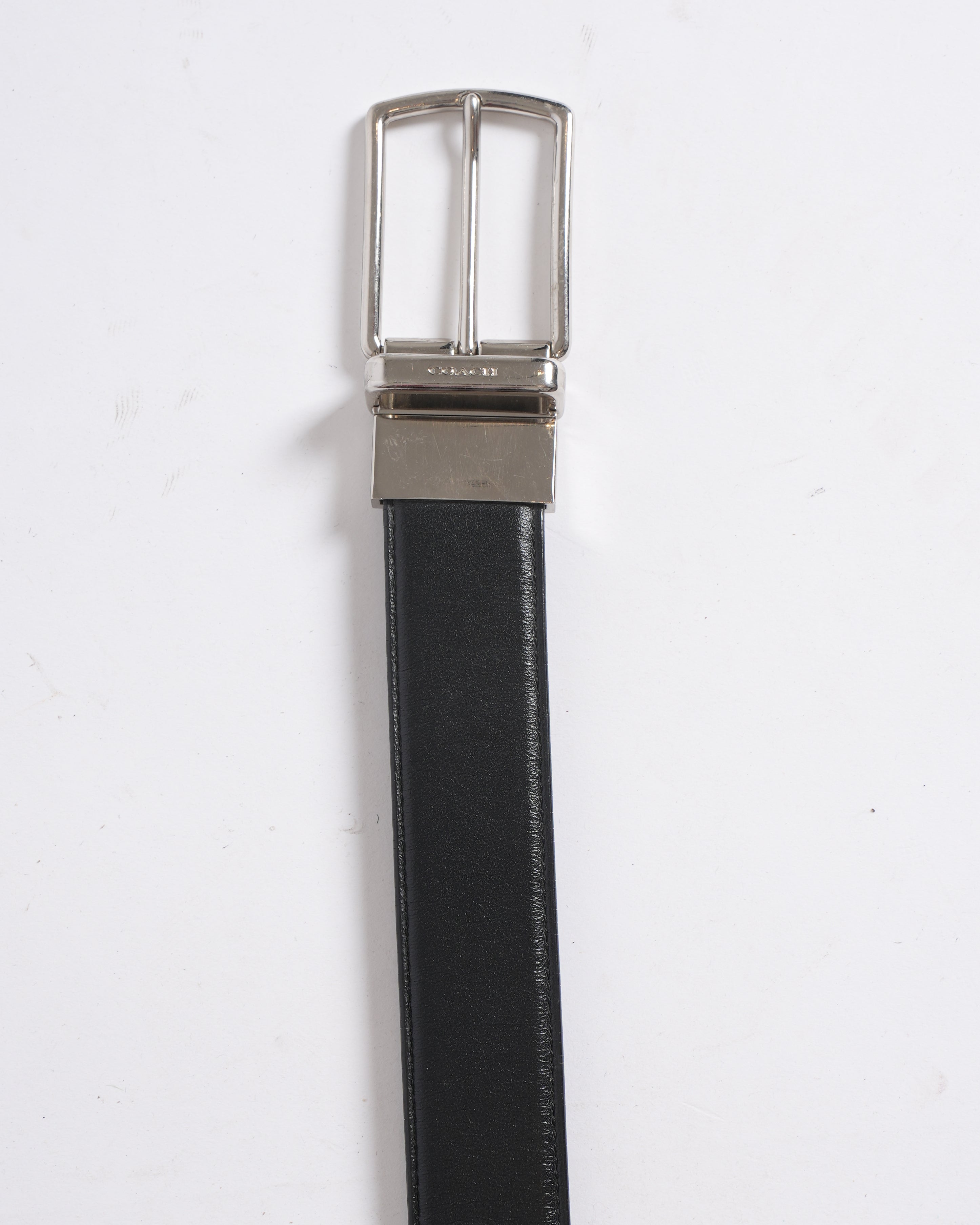 Coach Buckle Belt In Black