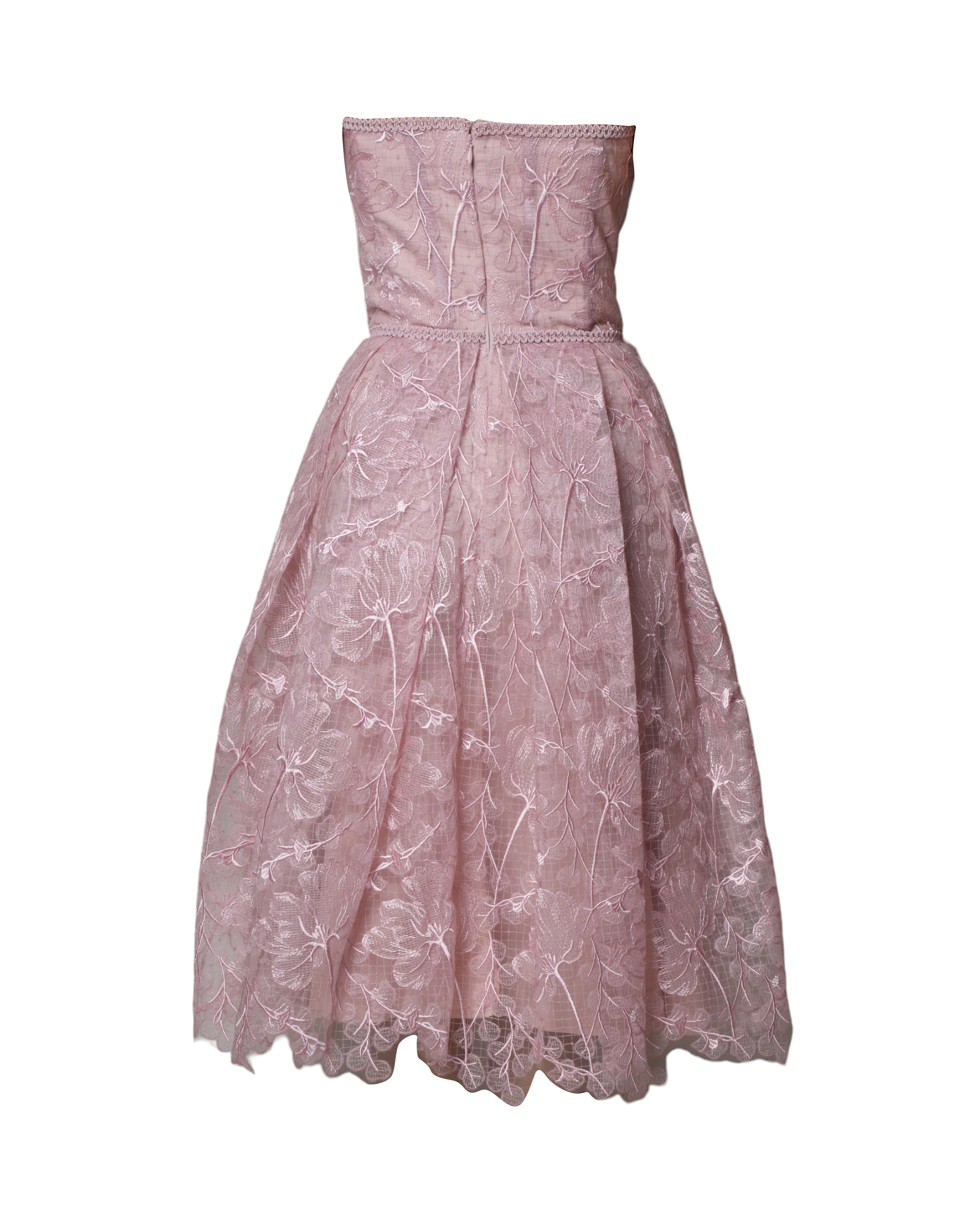 New Nadine Merabi Olivia Blush Dress