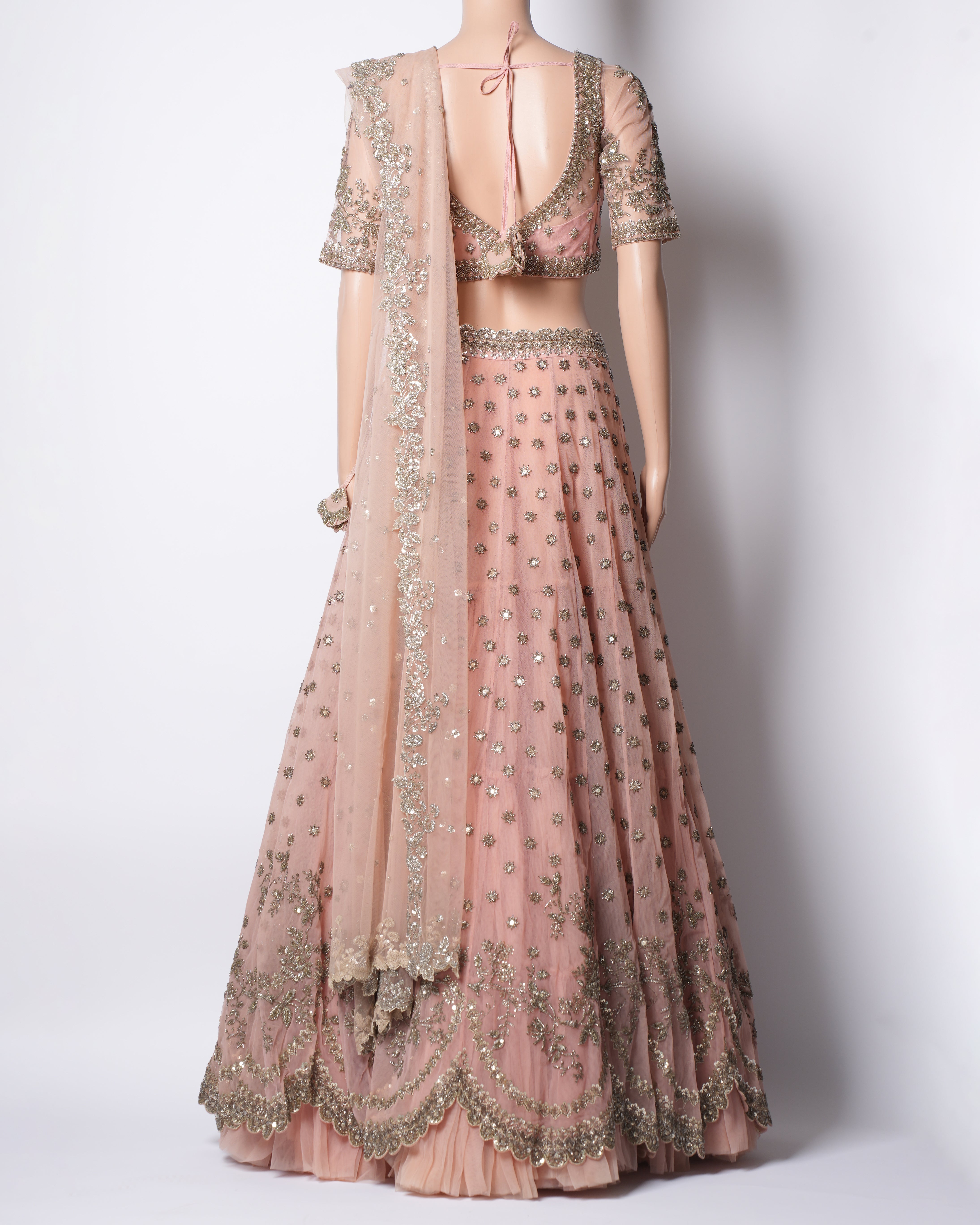 Anushree Reddy Pink Embroidered Lehenga