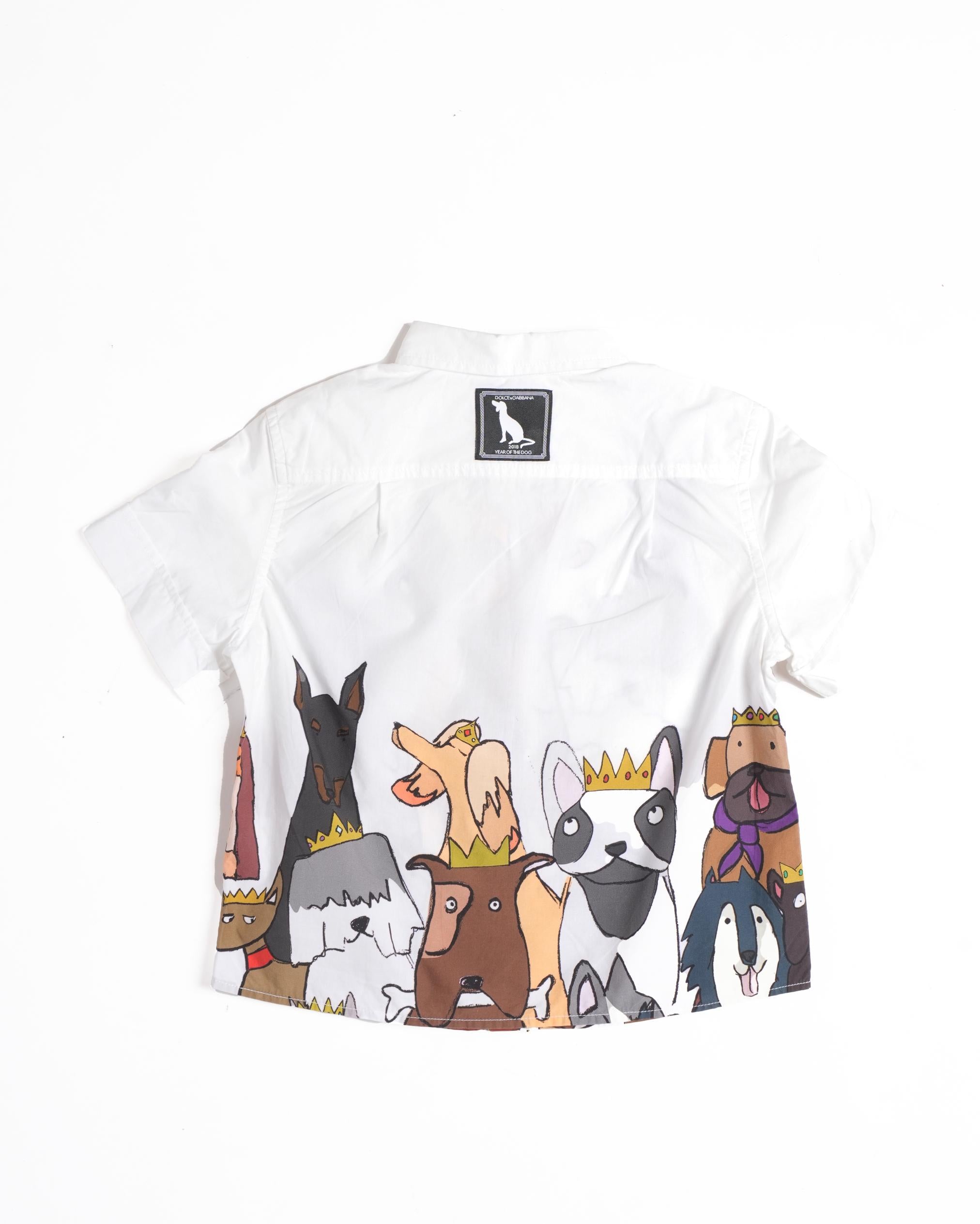 Dolce & Gabbana dog print kids shirt