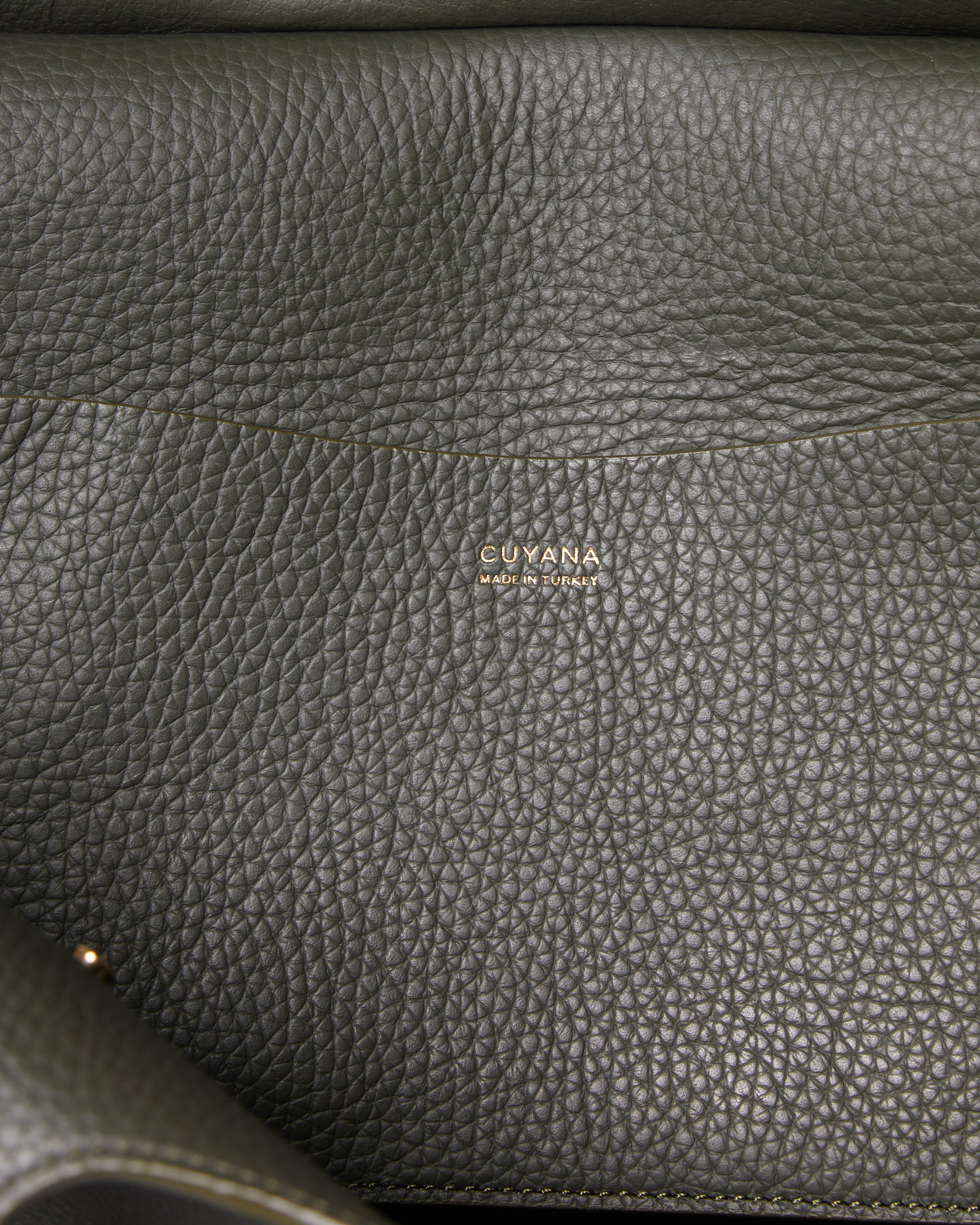 Cuyana Pebbled Leather Work Tote In Dark Olive