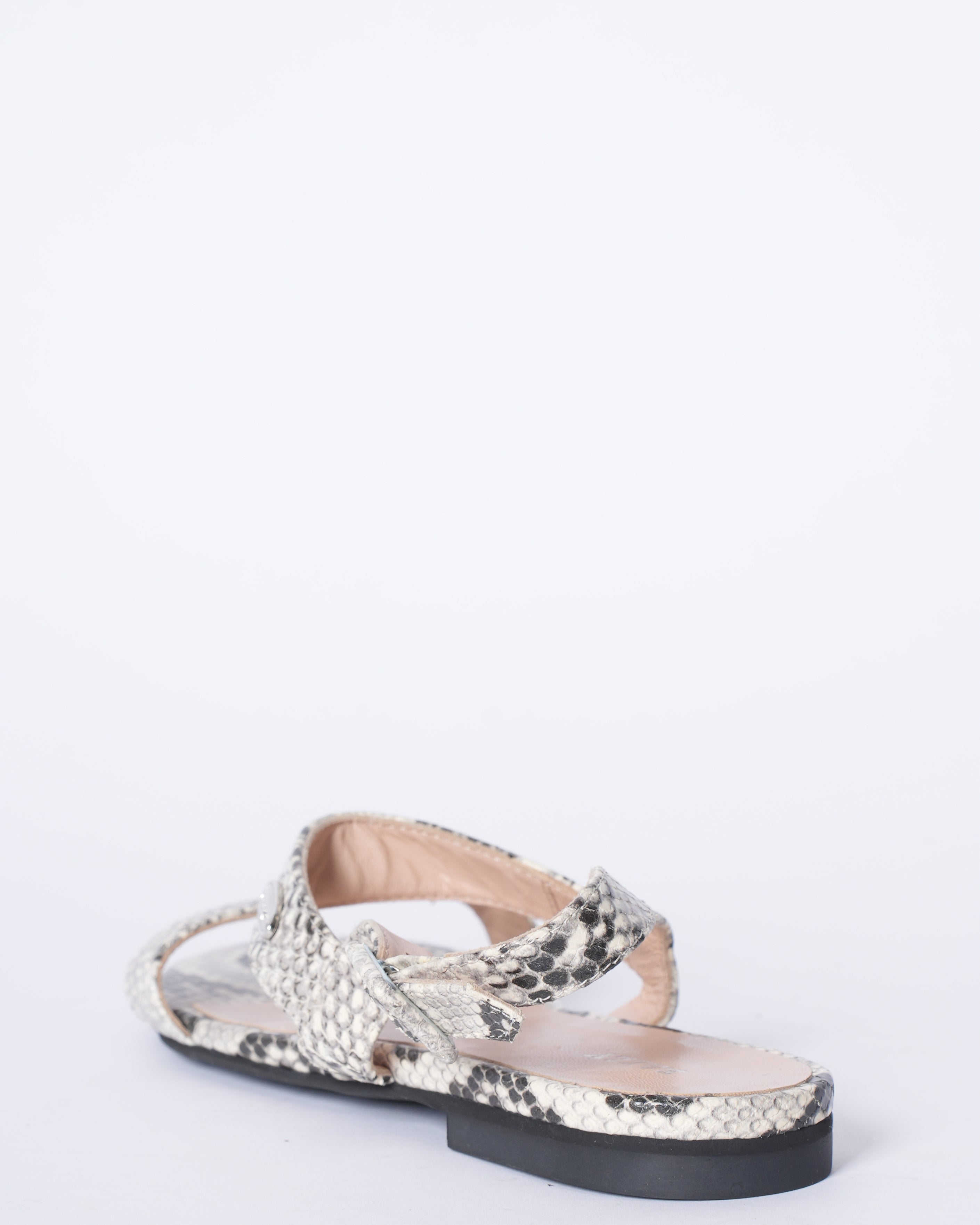 Bally Flats