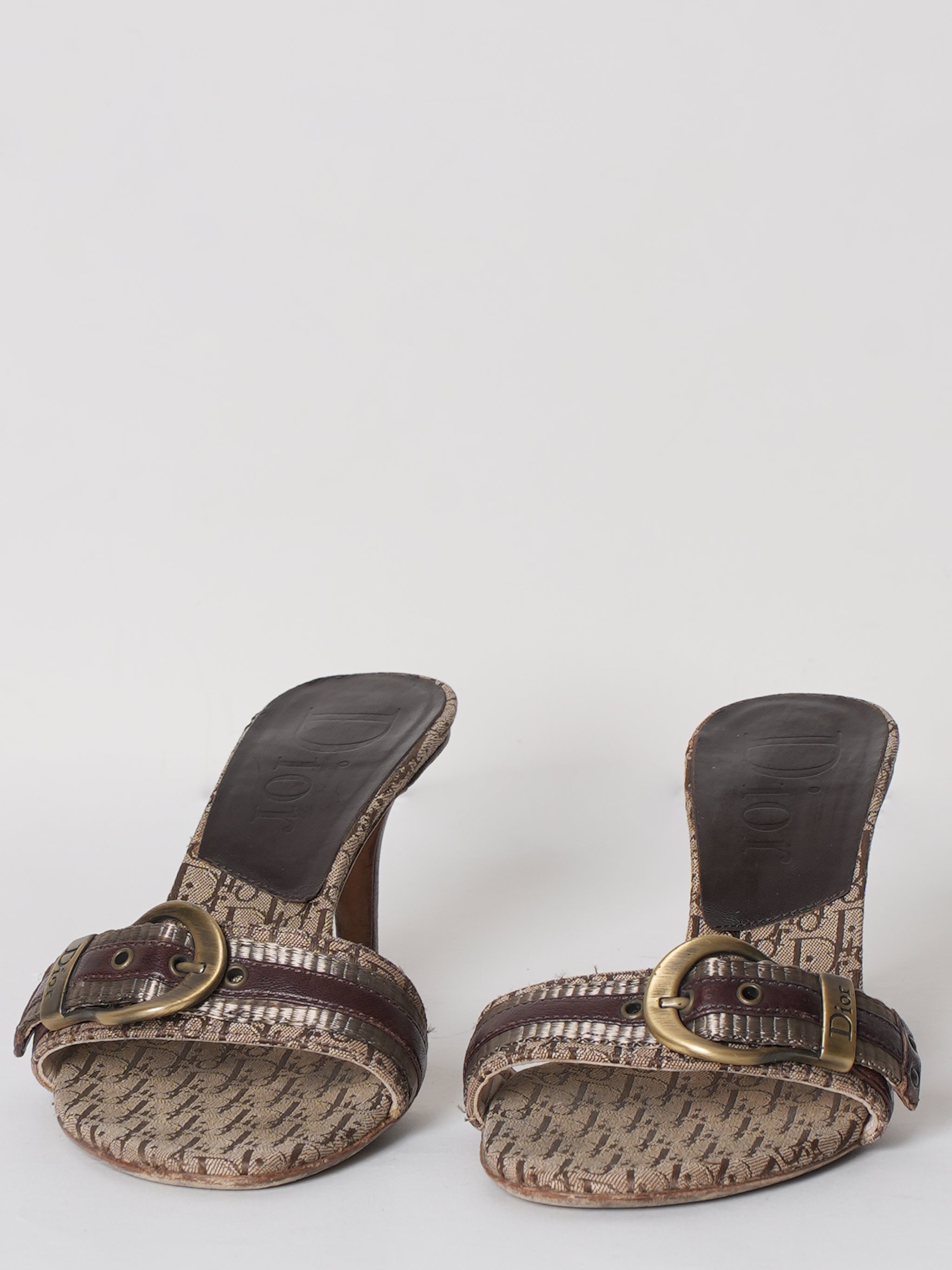 Dior Slide Buckle Sandal
