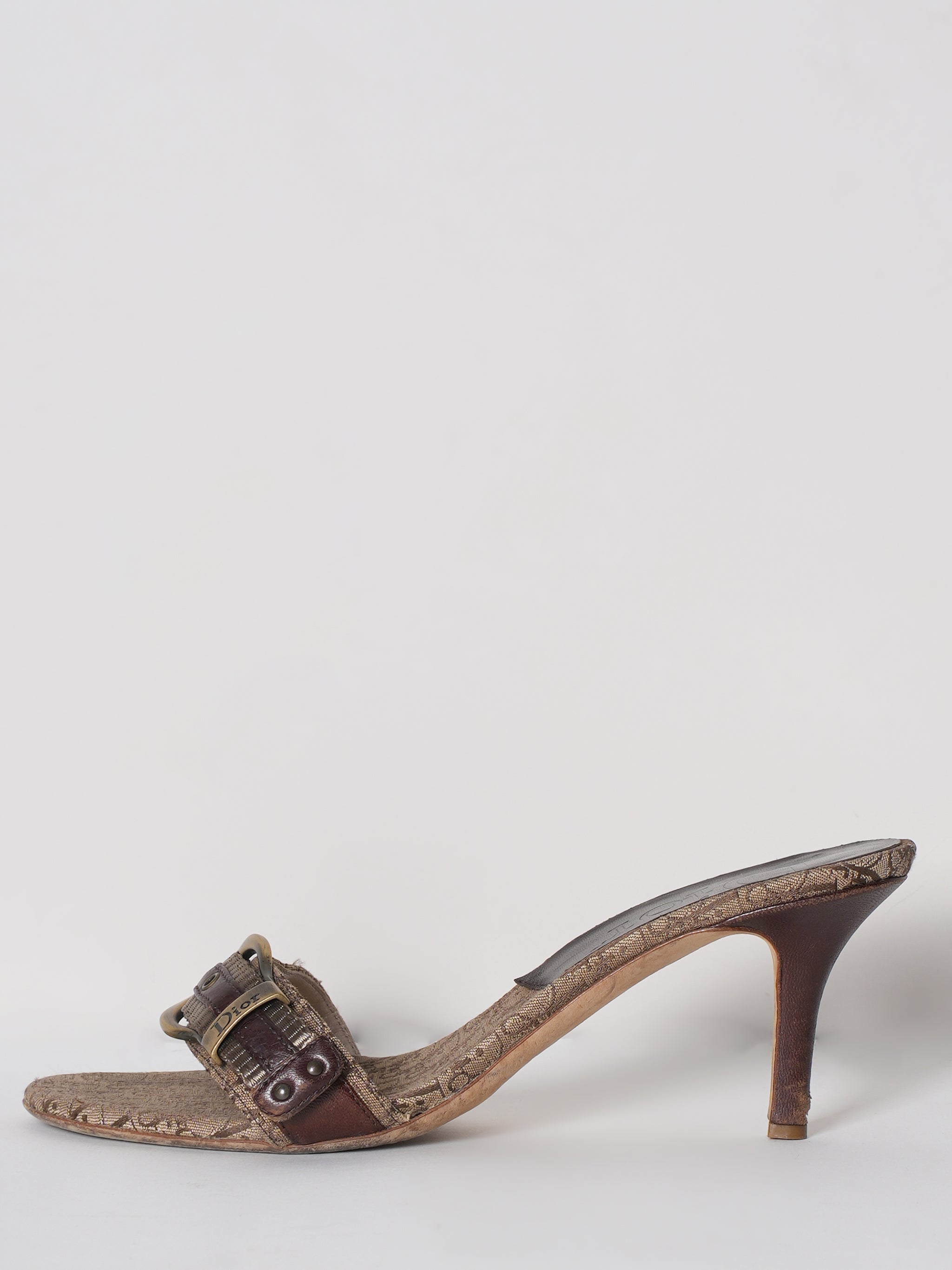 Dior Slide Buckle Sandal