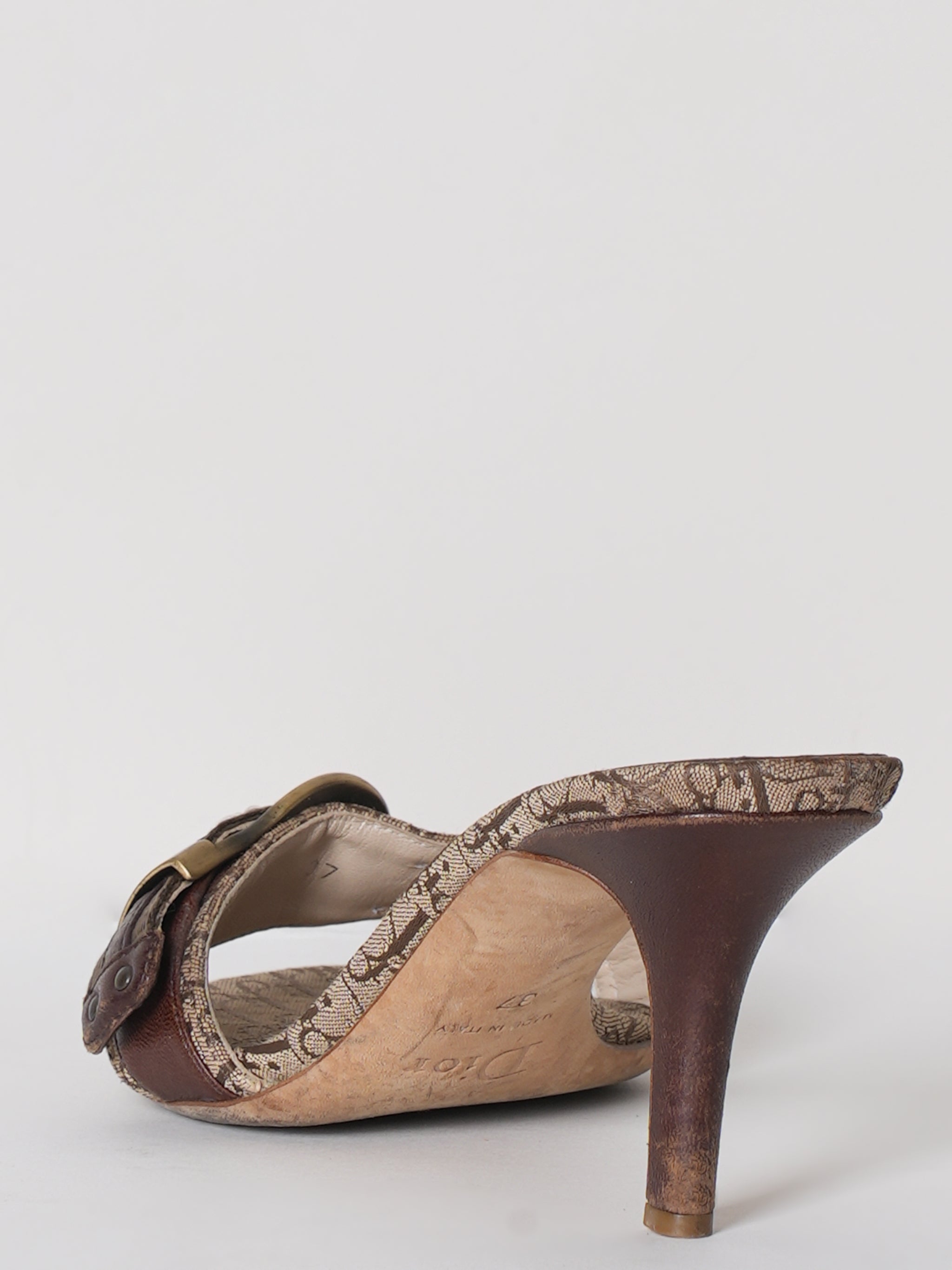 Dior Slide Buckle Sandal