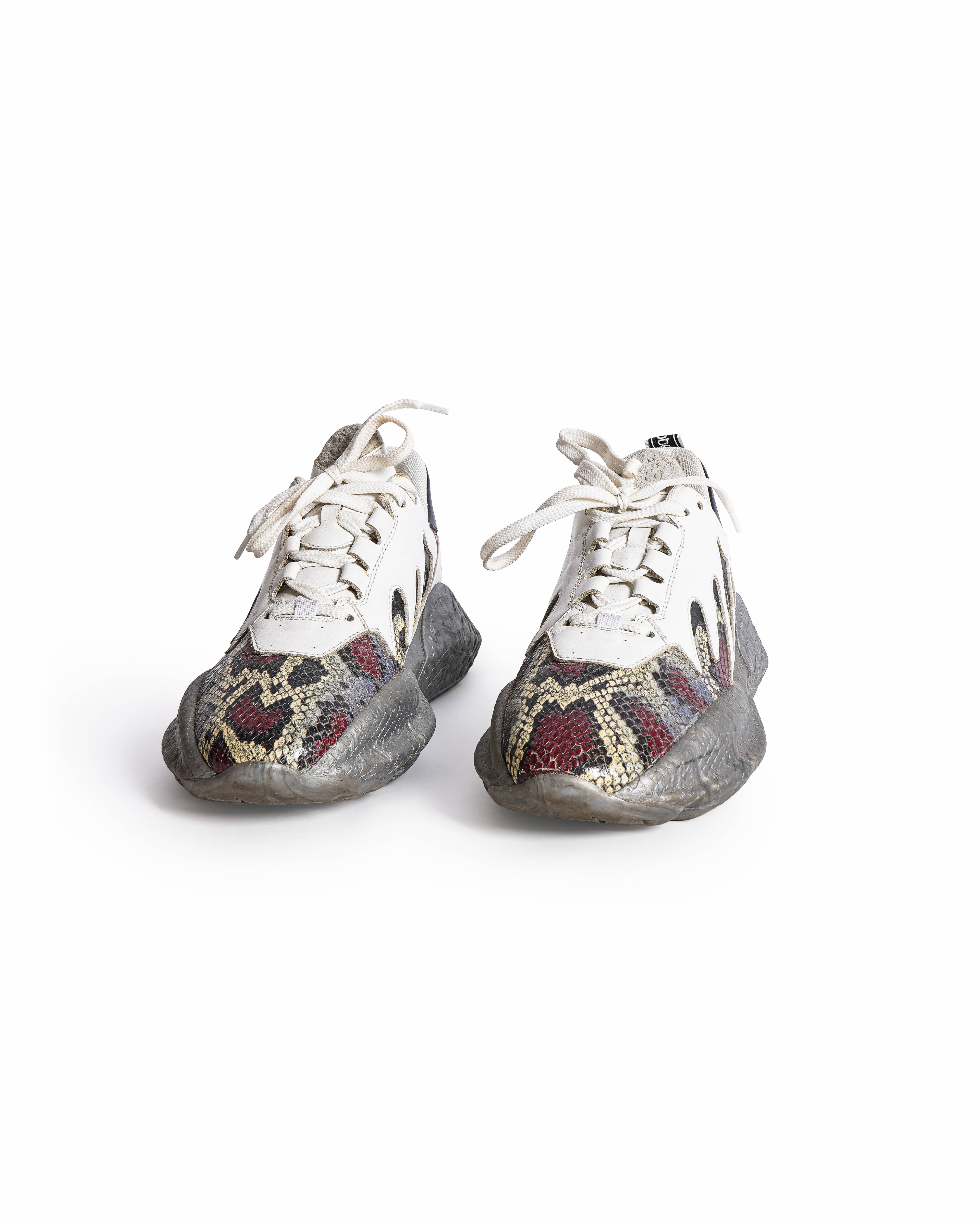 Roberto Cavalli Snakeskin Print Low Top Sneakers