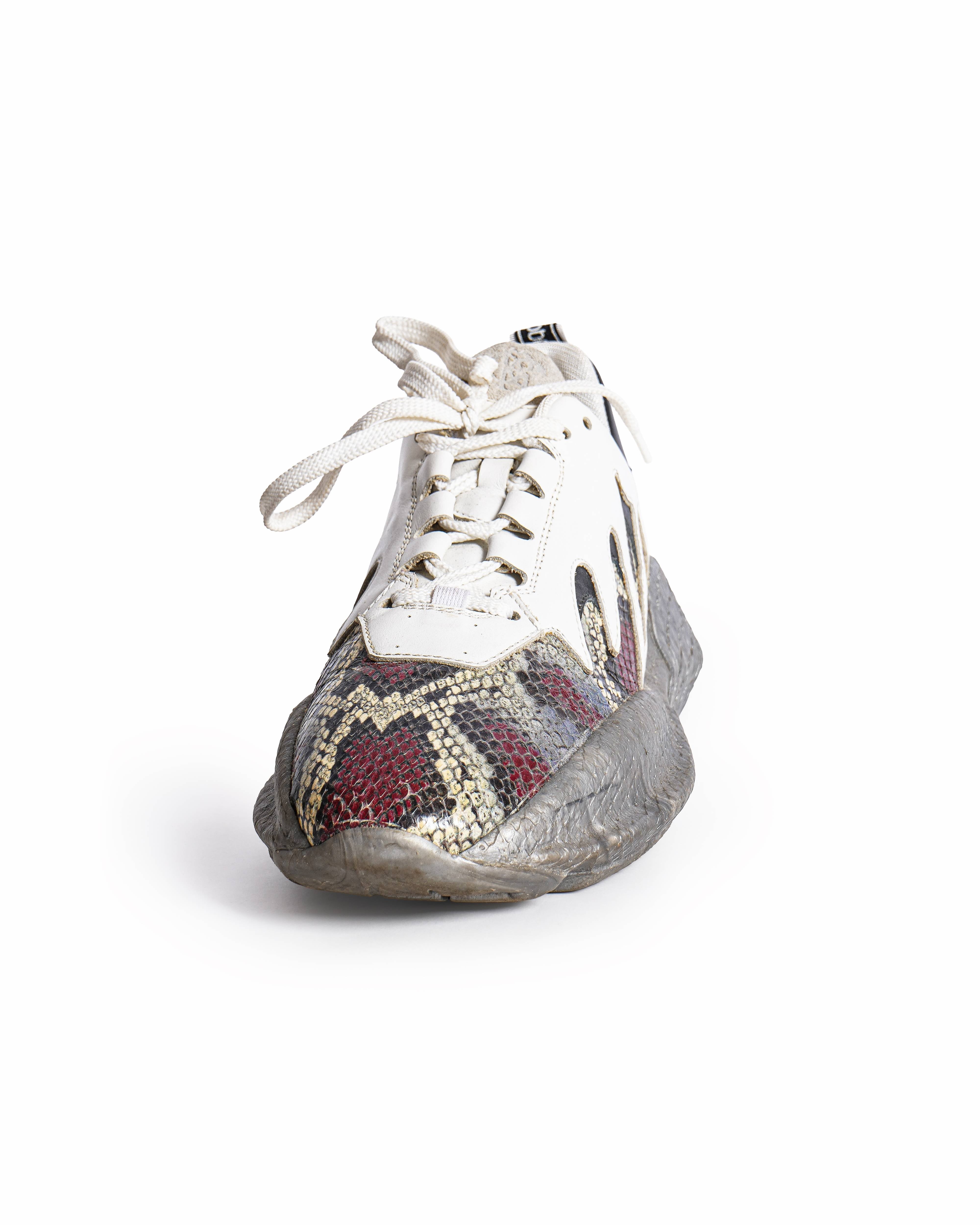 Roberto Cavalli Snakeskin Print Low Top Sneakers