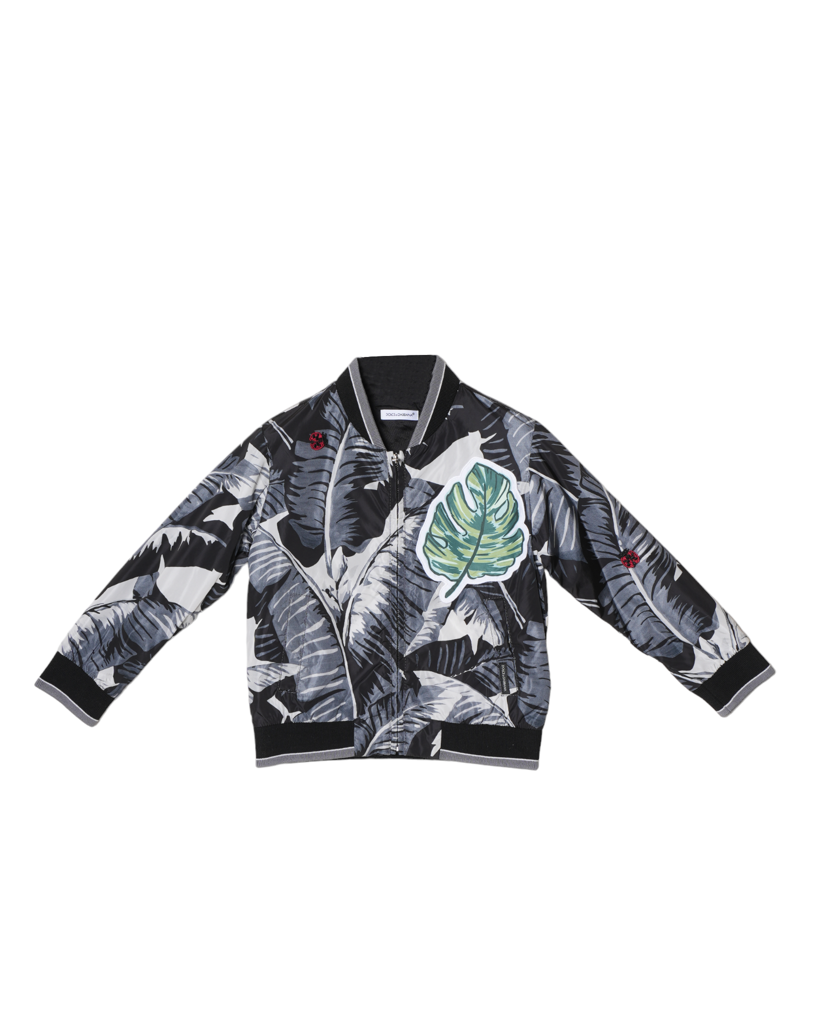 Dolce & Gabbana Palm Leaf Print
