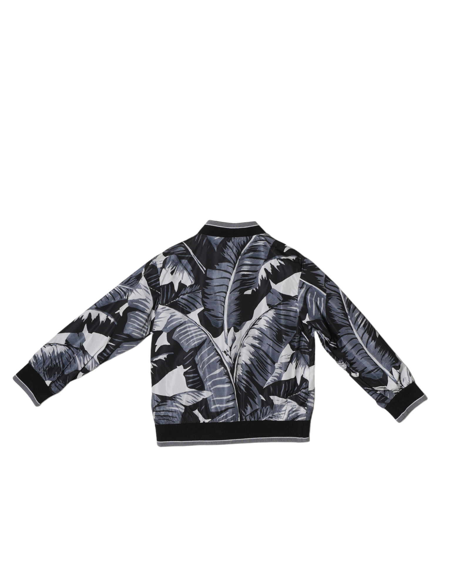 Dolce & Gabbana Palm Leaf Print