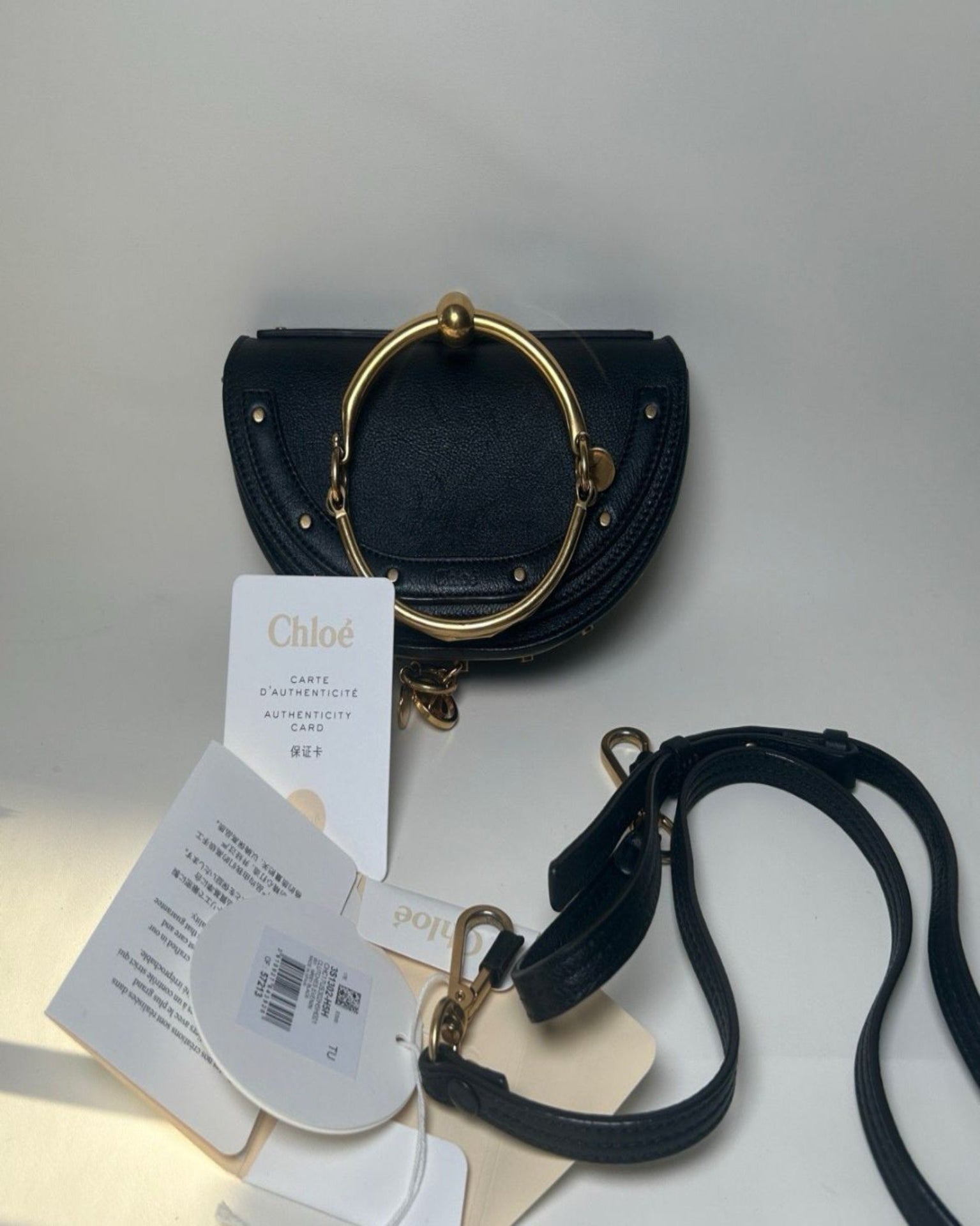 Chloe Nile Bag