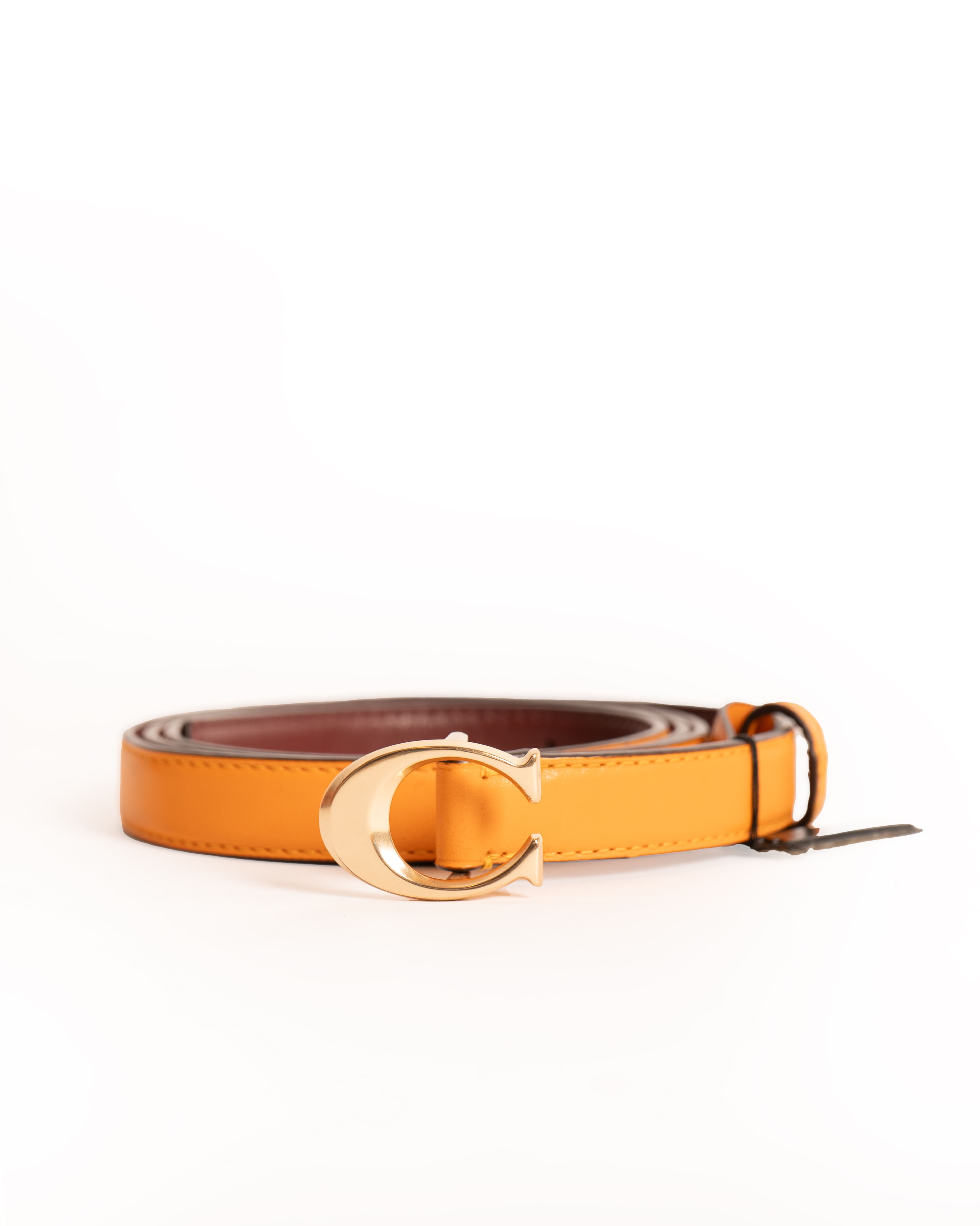 Coach belt in orange