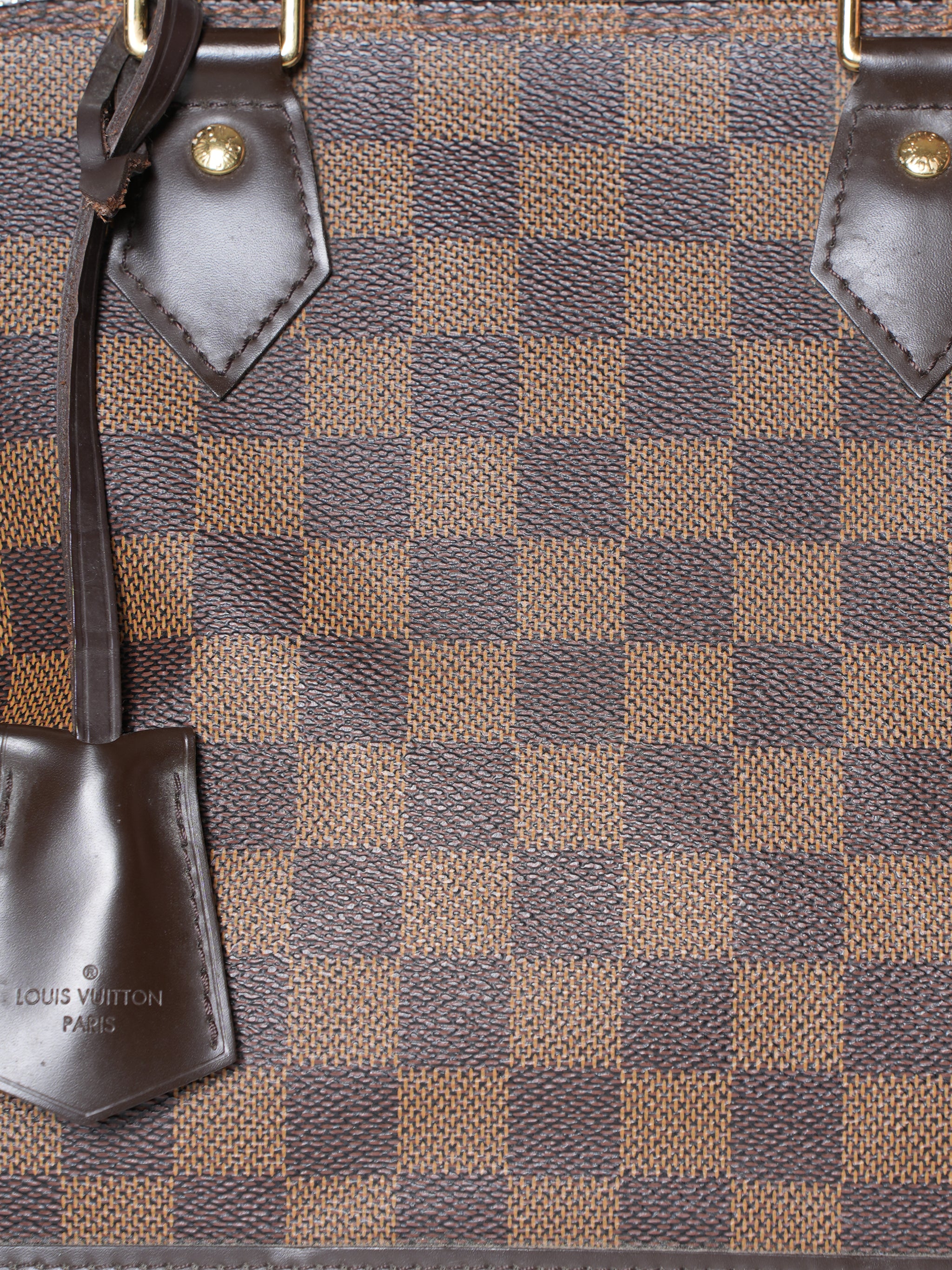 Louis Vuitton Damier Canvas Alma PM Bag
