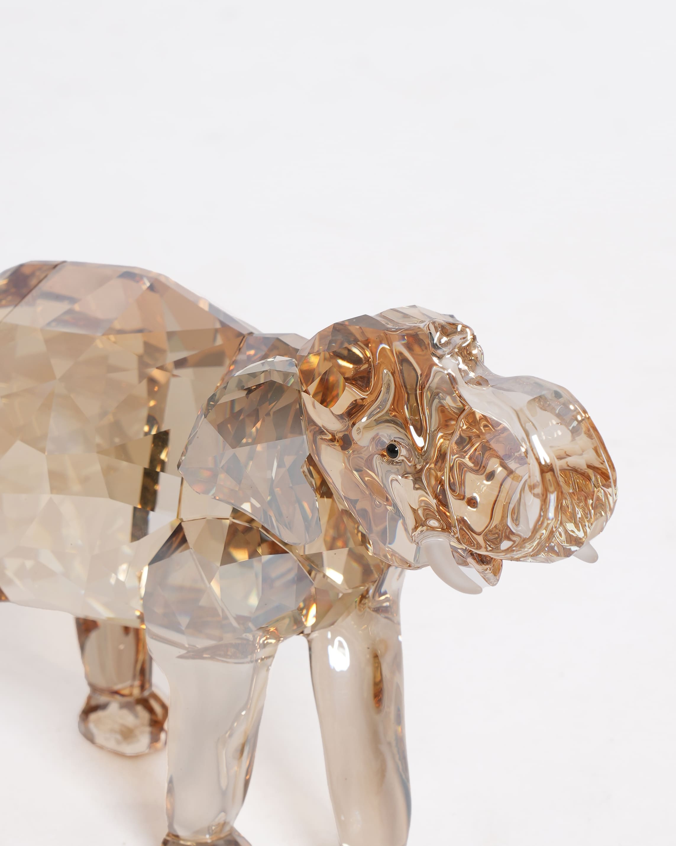 New Swarovski elegance of Africa SCS Elephant baby mandisa