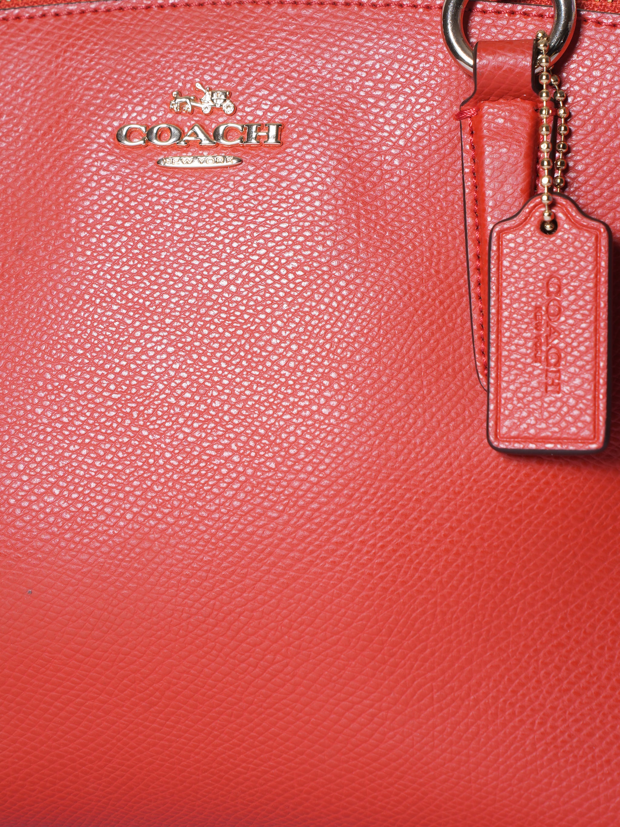 Coach Mini Christe Leather Amarnath Handbag