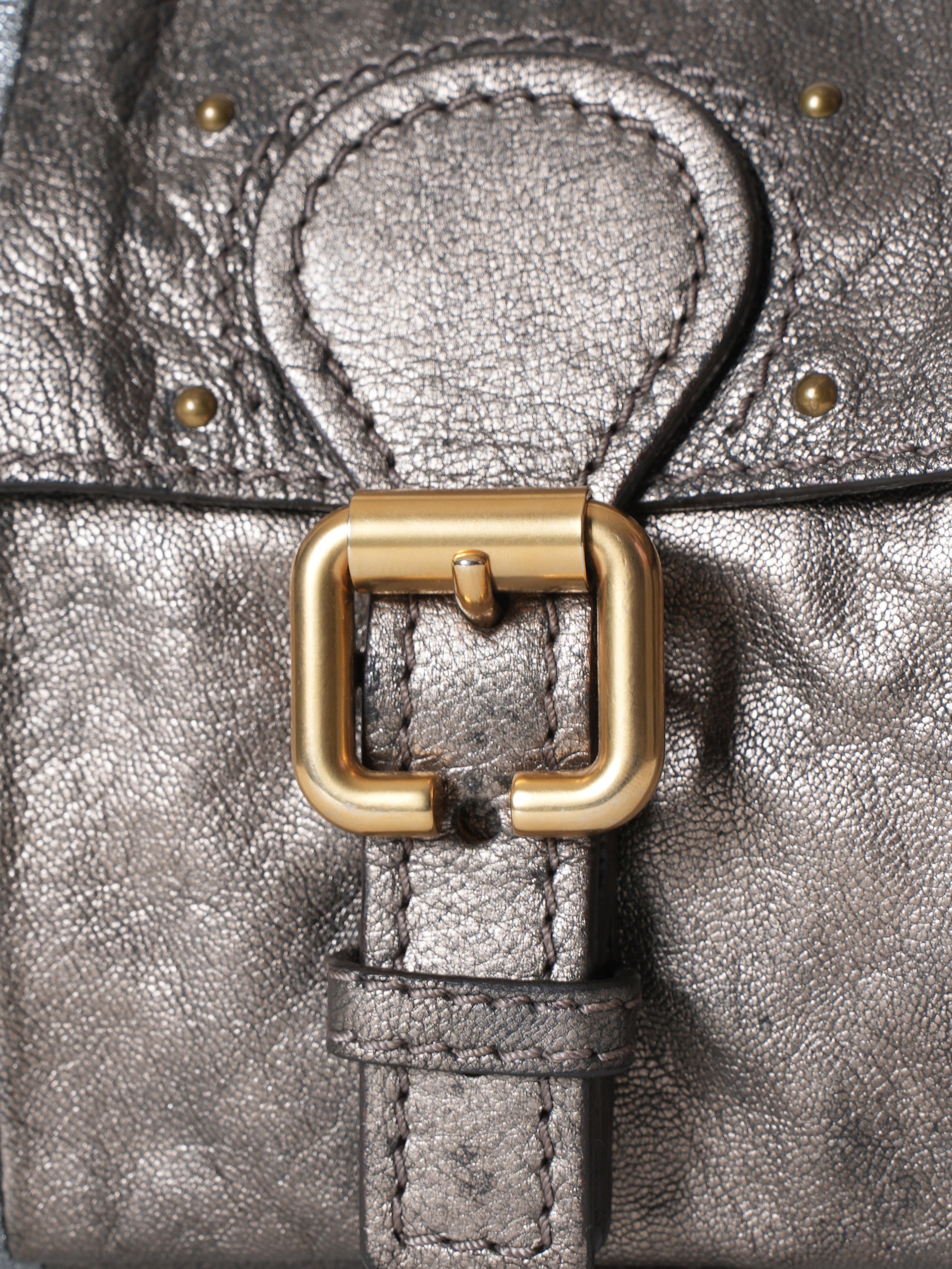 Chloe Metallic Leather Bag