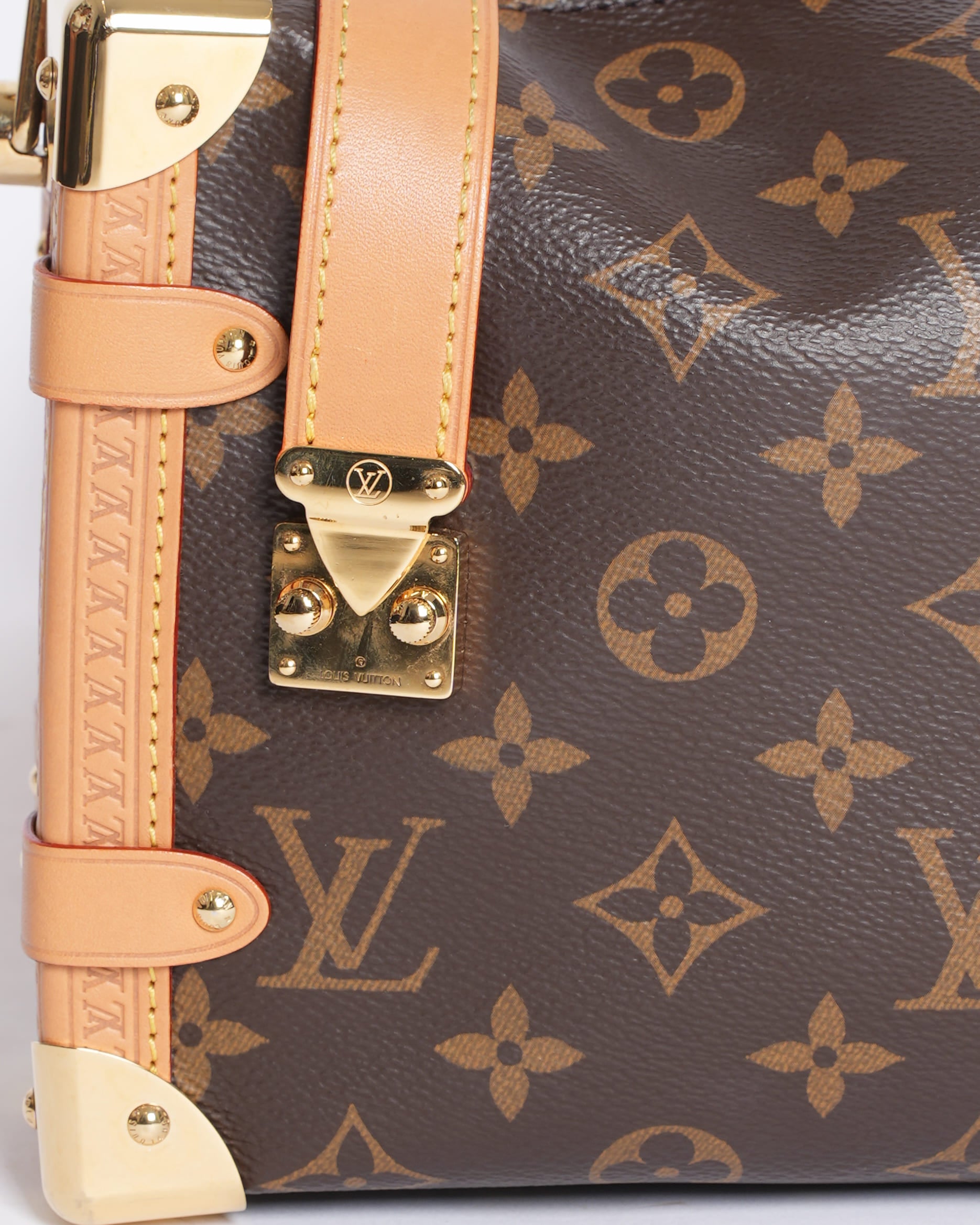 Louis Vuitton Side Trunk MM