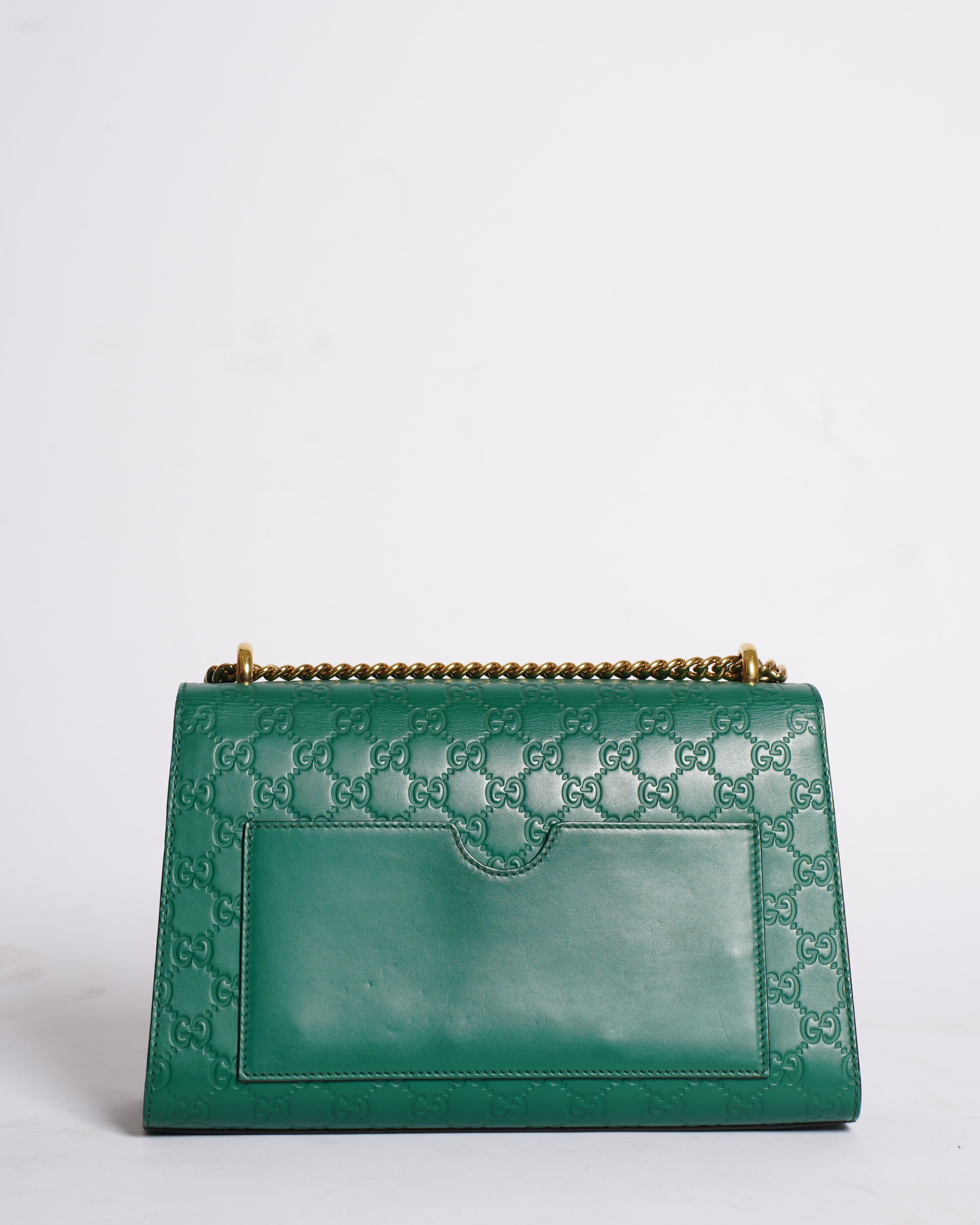 Green Gucci Bag