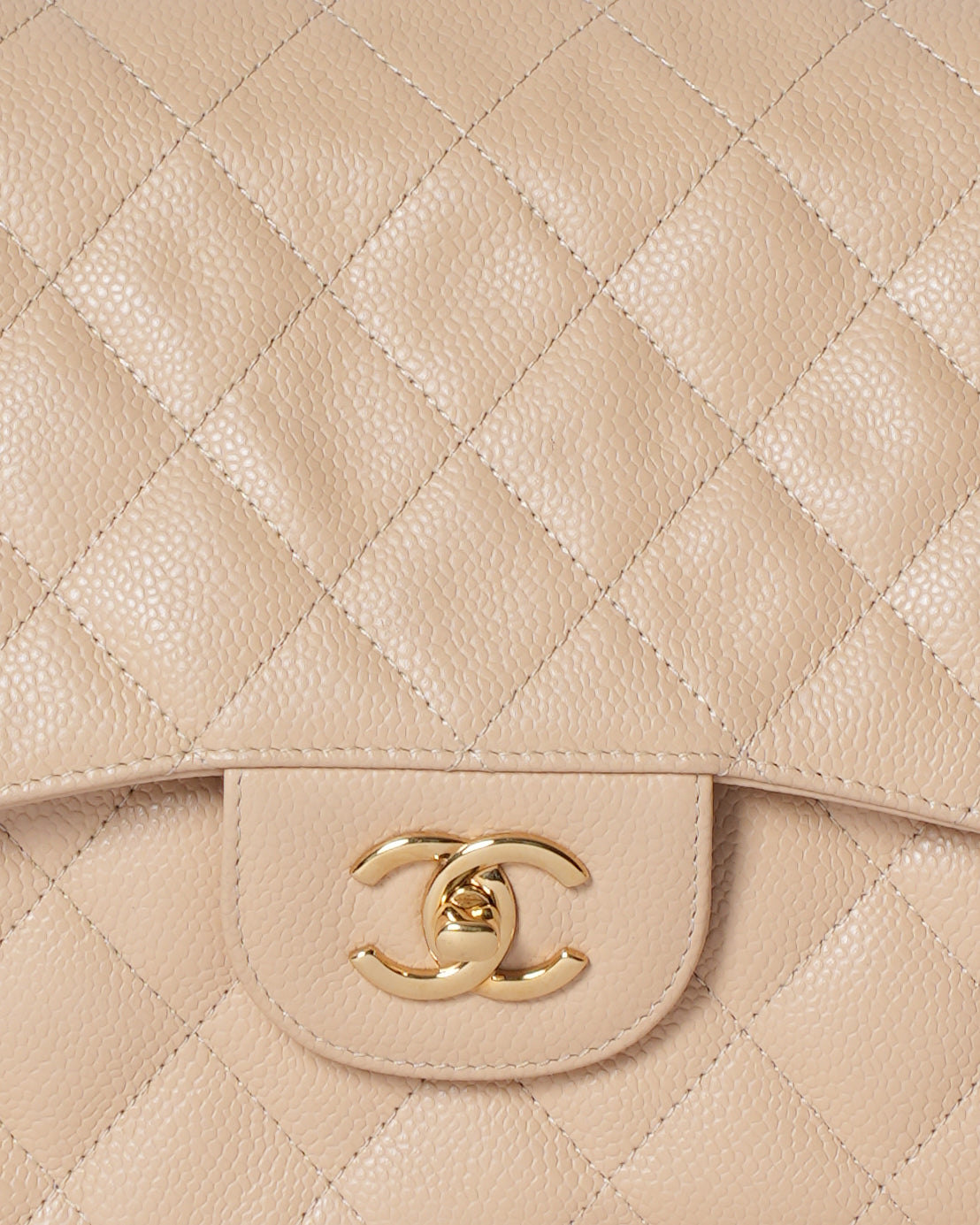 Chanel Quilted Leather Classic Flap Bag