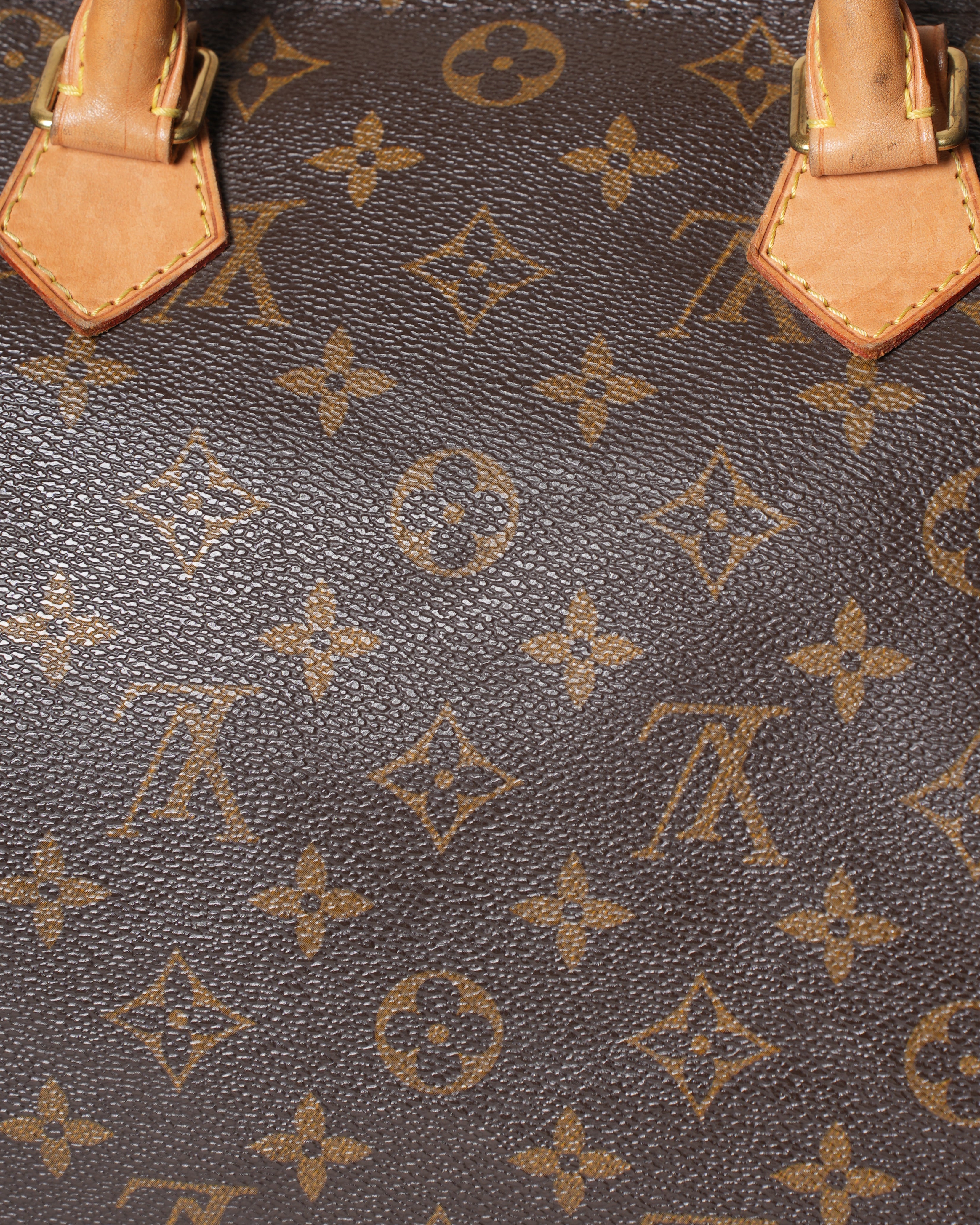 Louis Vuitton Speedy 30 Monogram