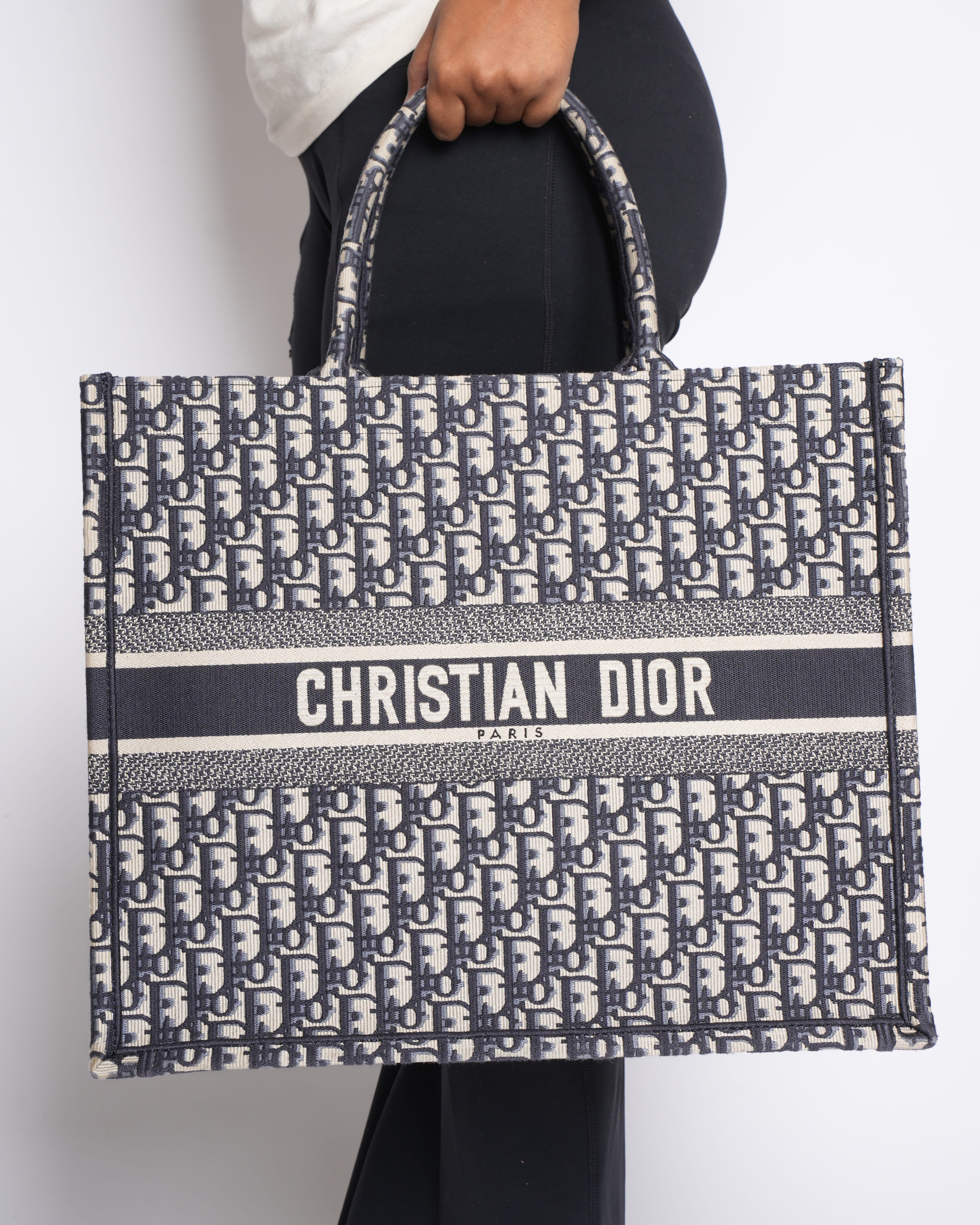 Dior Large Book Tote Bag