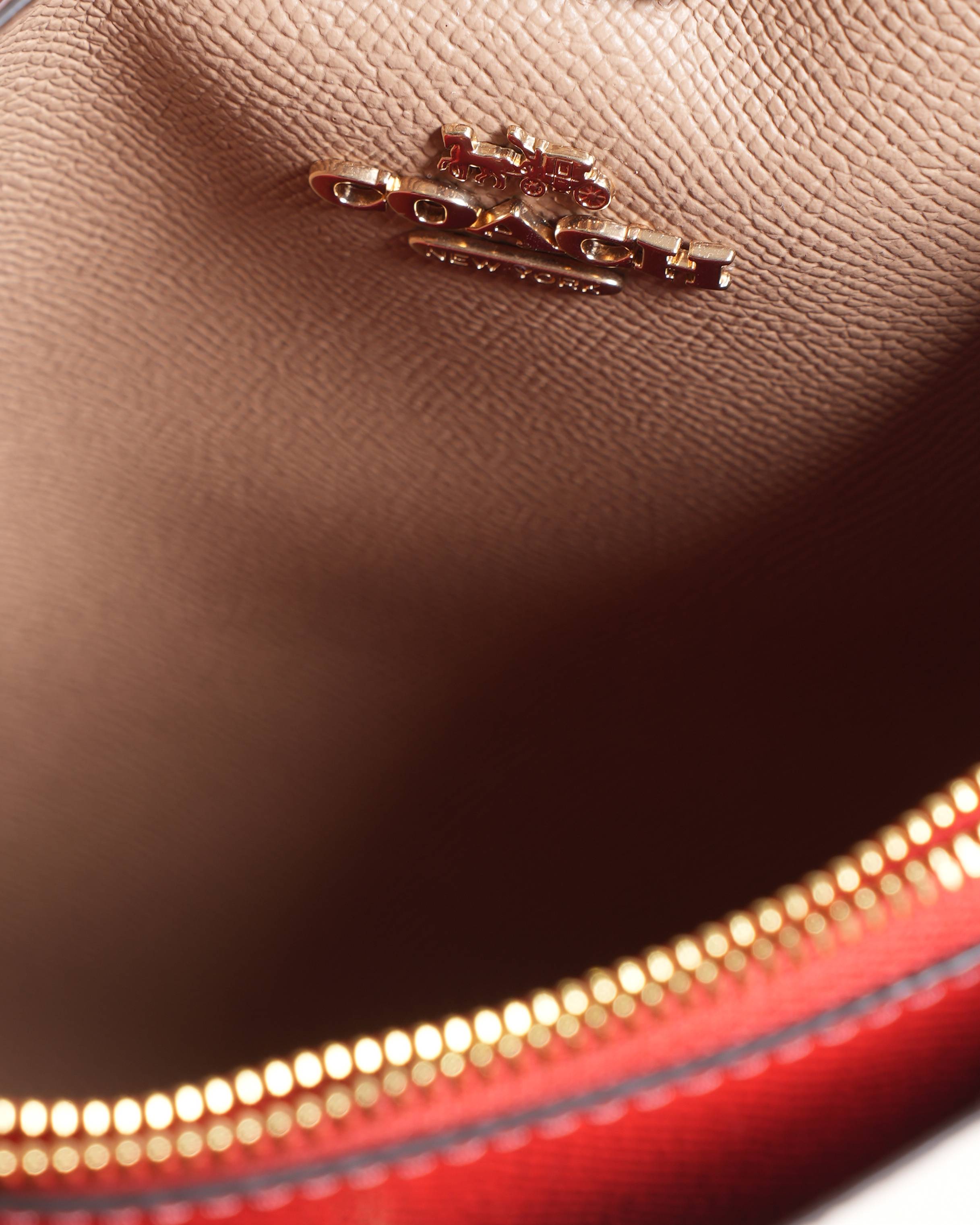 New Coach Cherry Printed Mollie 22 Bucket Bag