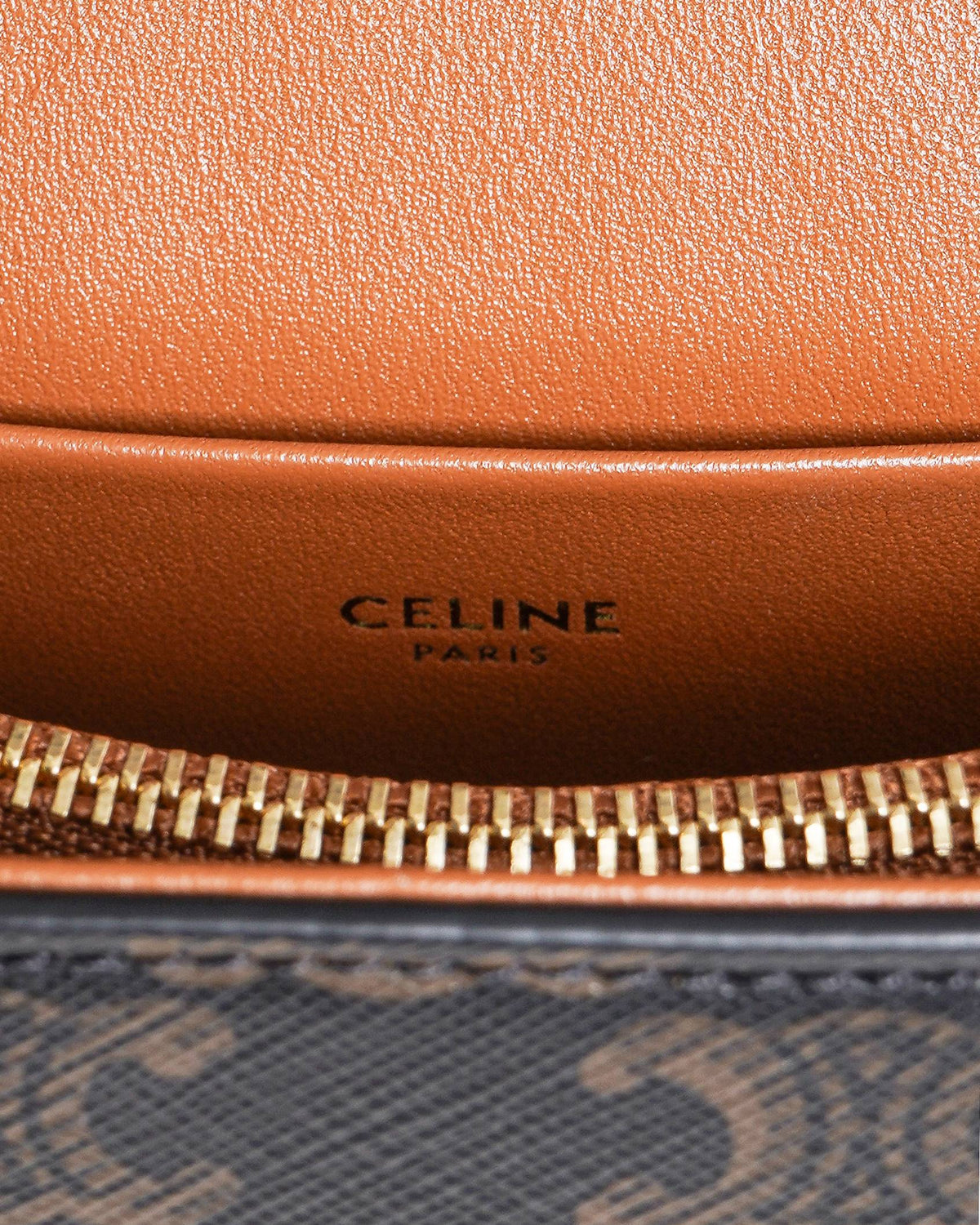 Celine Triomphe Canvas and Calfskin Top Handle Bag