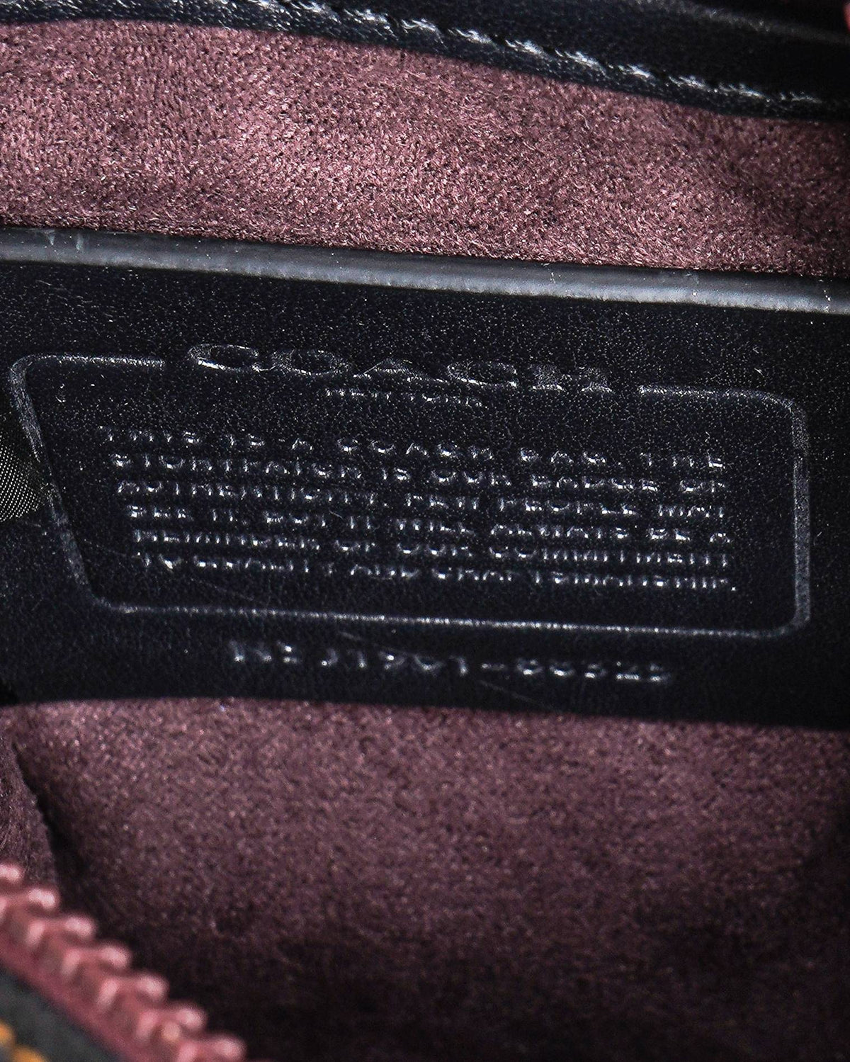 Coach Dylan 10 With Horse And Carriage Print