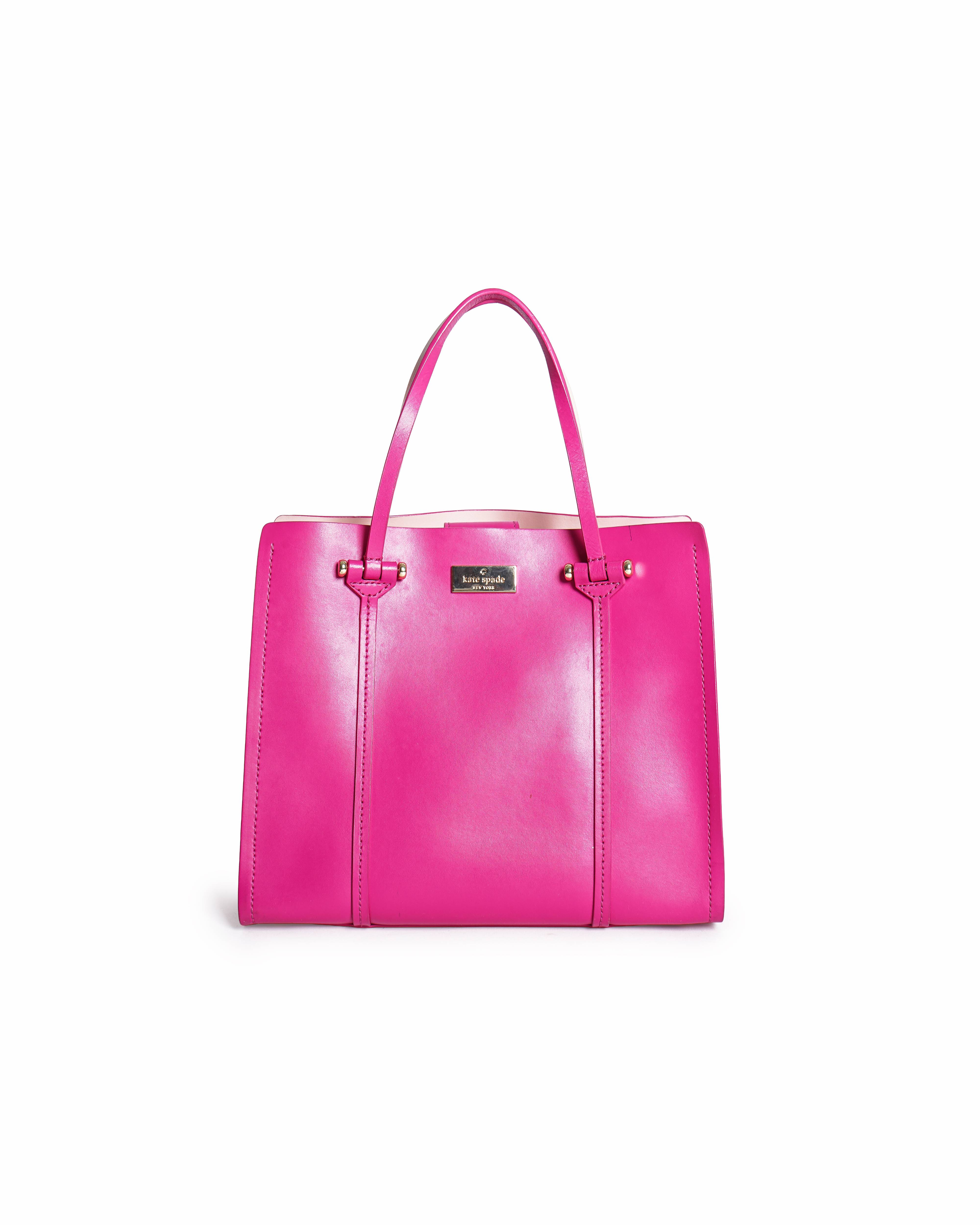 Kate Spade New York Small Arbour Hill Elodie Tote Bag