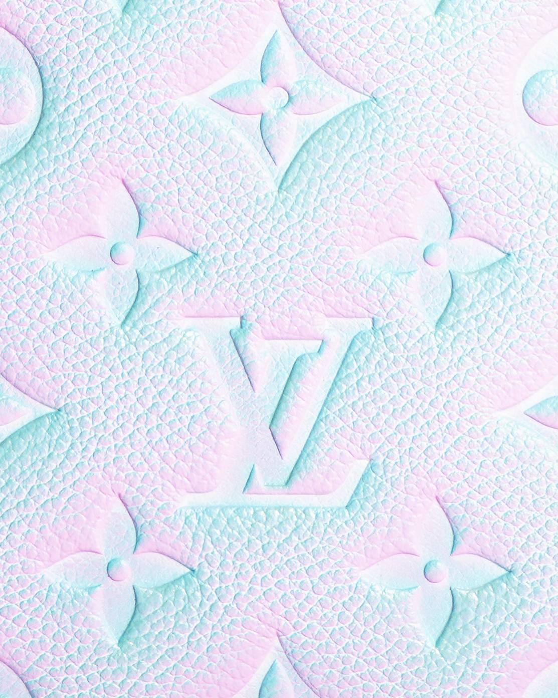 Louis Vuitton OnTheGo PM Bag