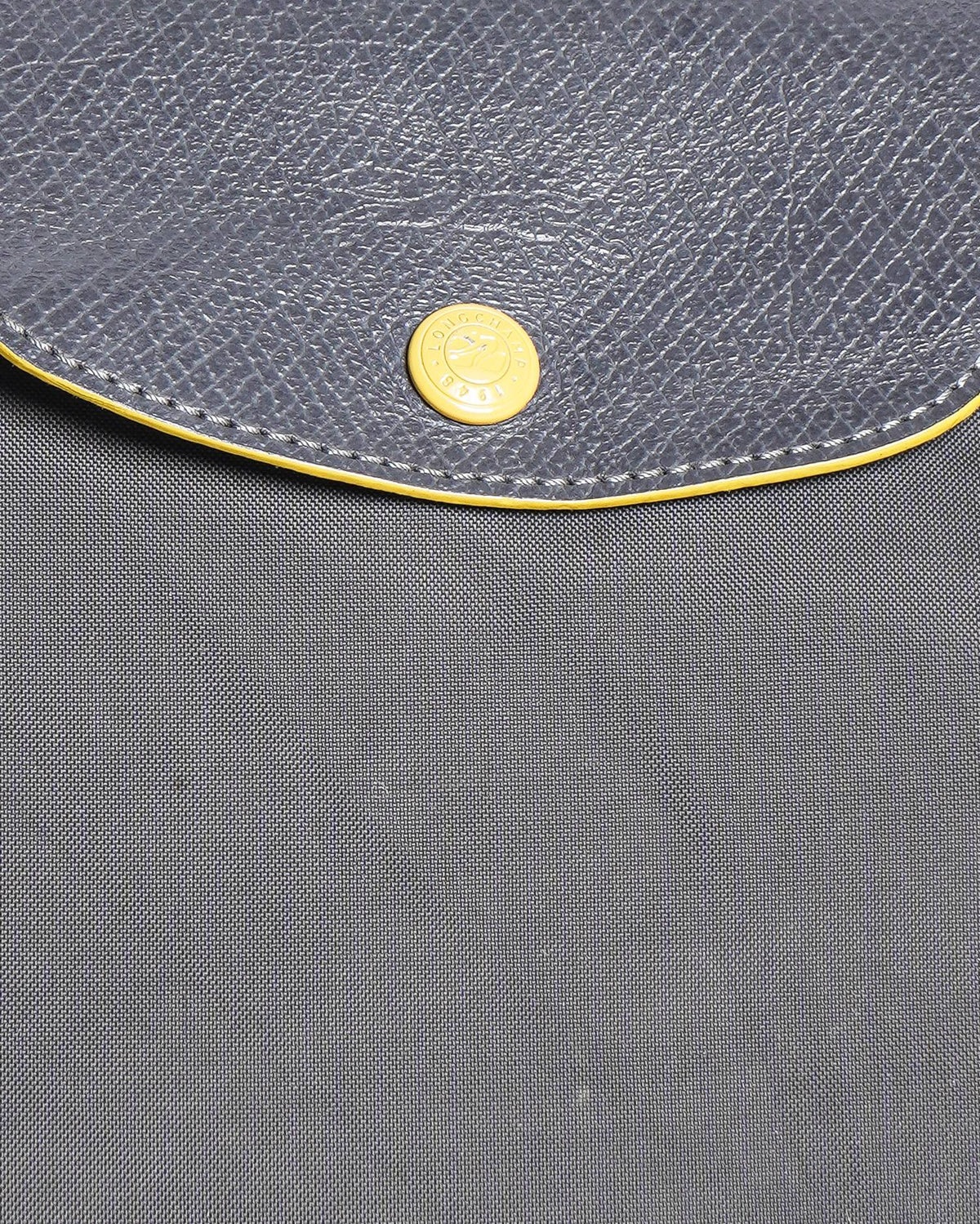 Longchamp Bilberry Le pilage club Medium Tote