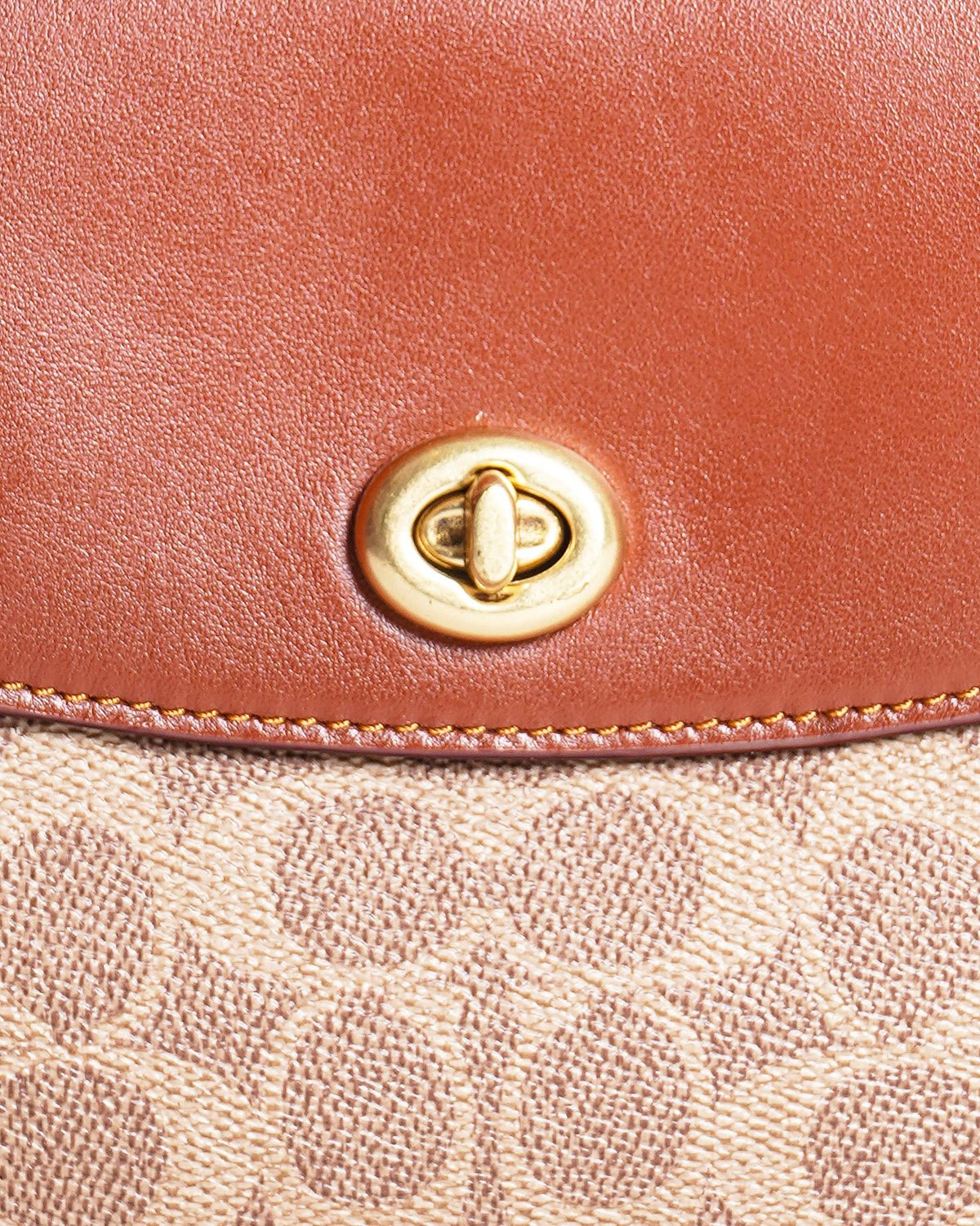 Coach cassie 19 signature canvas crossbody bag