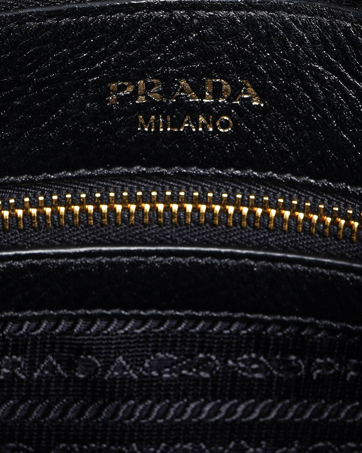 Prada vitello diano phenix hobo crossbody bag