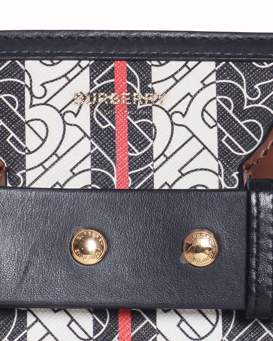 Burberry TB Monogram Canvas Stripe Medium Belt Bag
