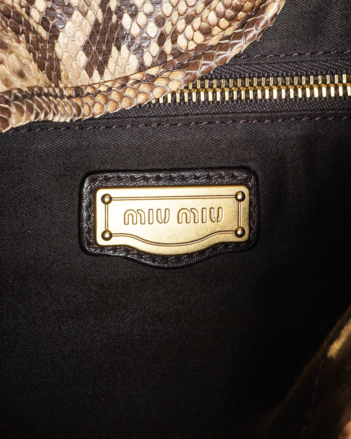 Miu Miu Snakeskin Matelassé Coffer Hobo Bag
