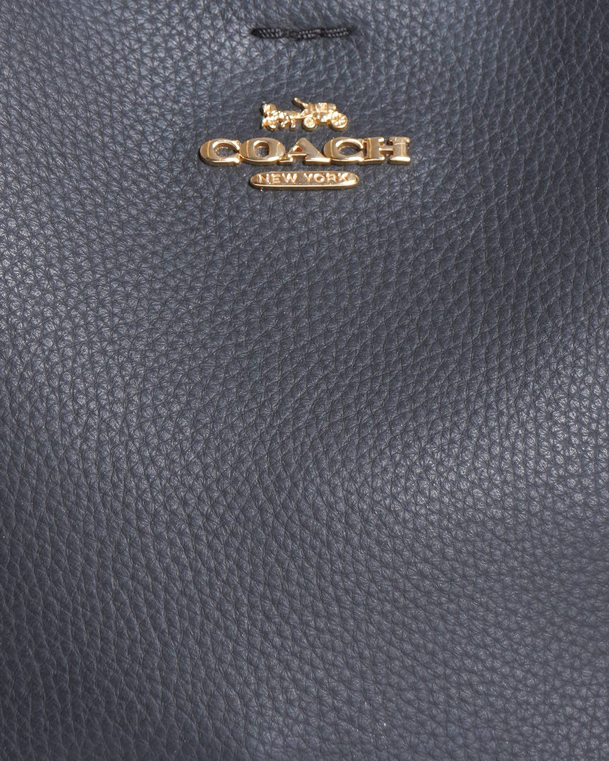 Coach Mollie Bucket Bag