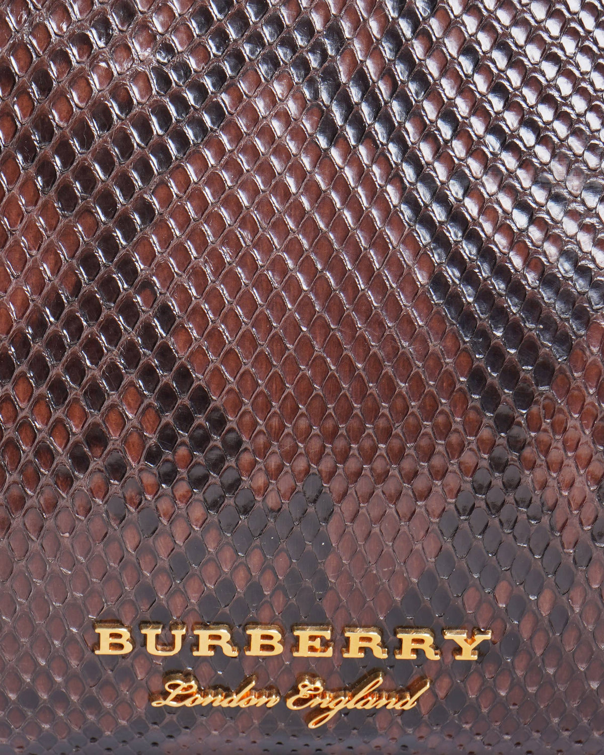 Burberry 
The Banner python handbag