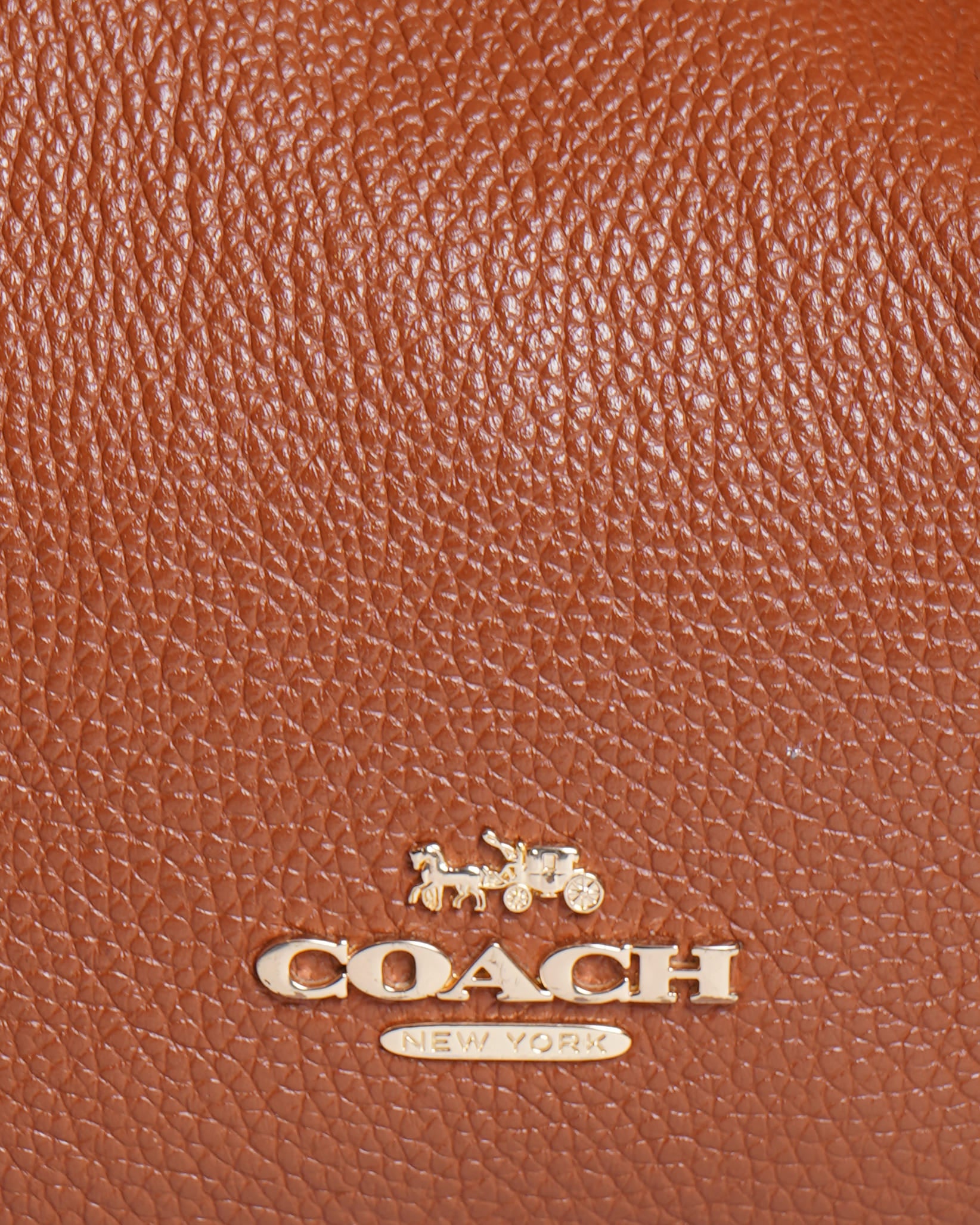 Coach Hadley Hobo in Brown