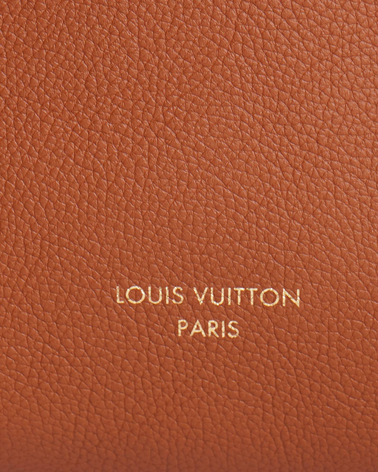 New Louis vuitton Low Key Hobo PM