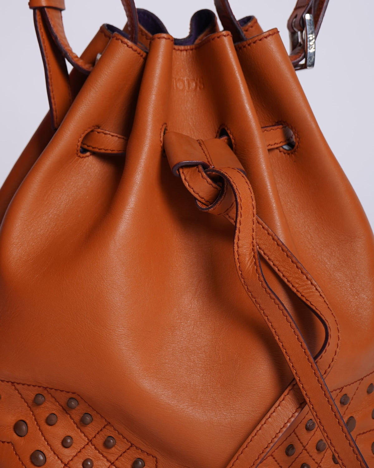 Tod's Bucket Bag in Tan