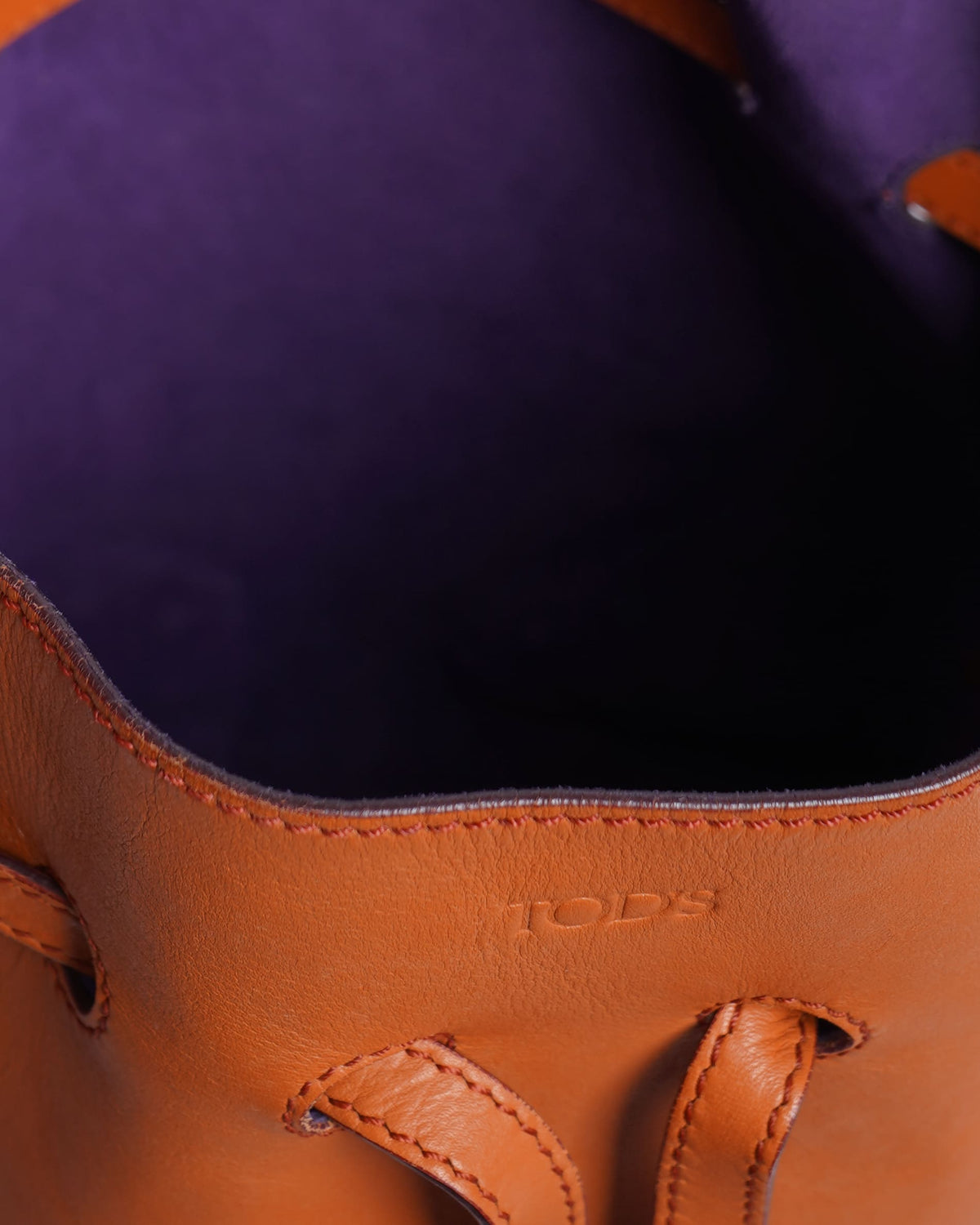 Tod's Bucket Bag in Tan