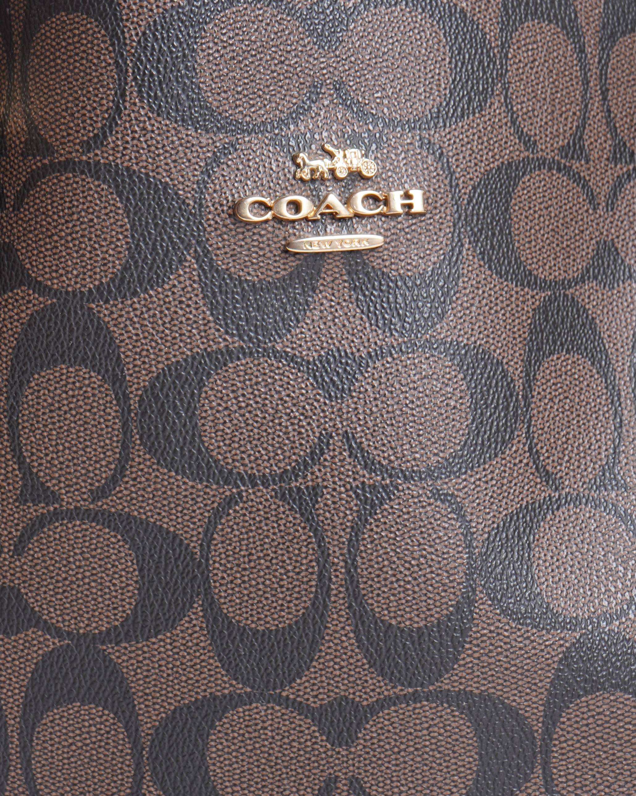 Coach Mollie Tote Bag In Signature Canvas
